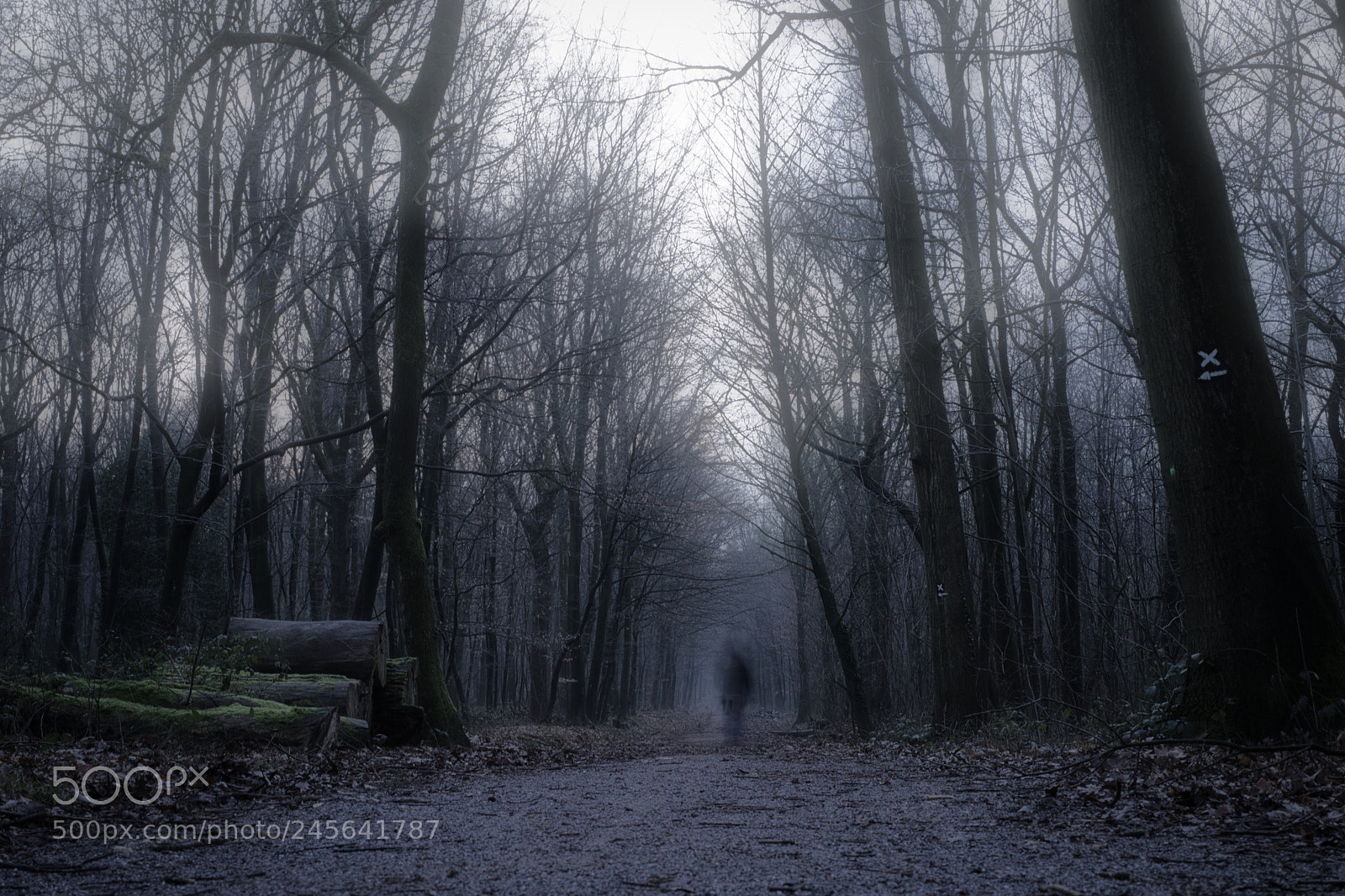 Sony a7 II sample photo. Leaving shadows photography
