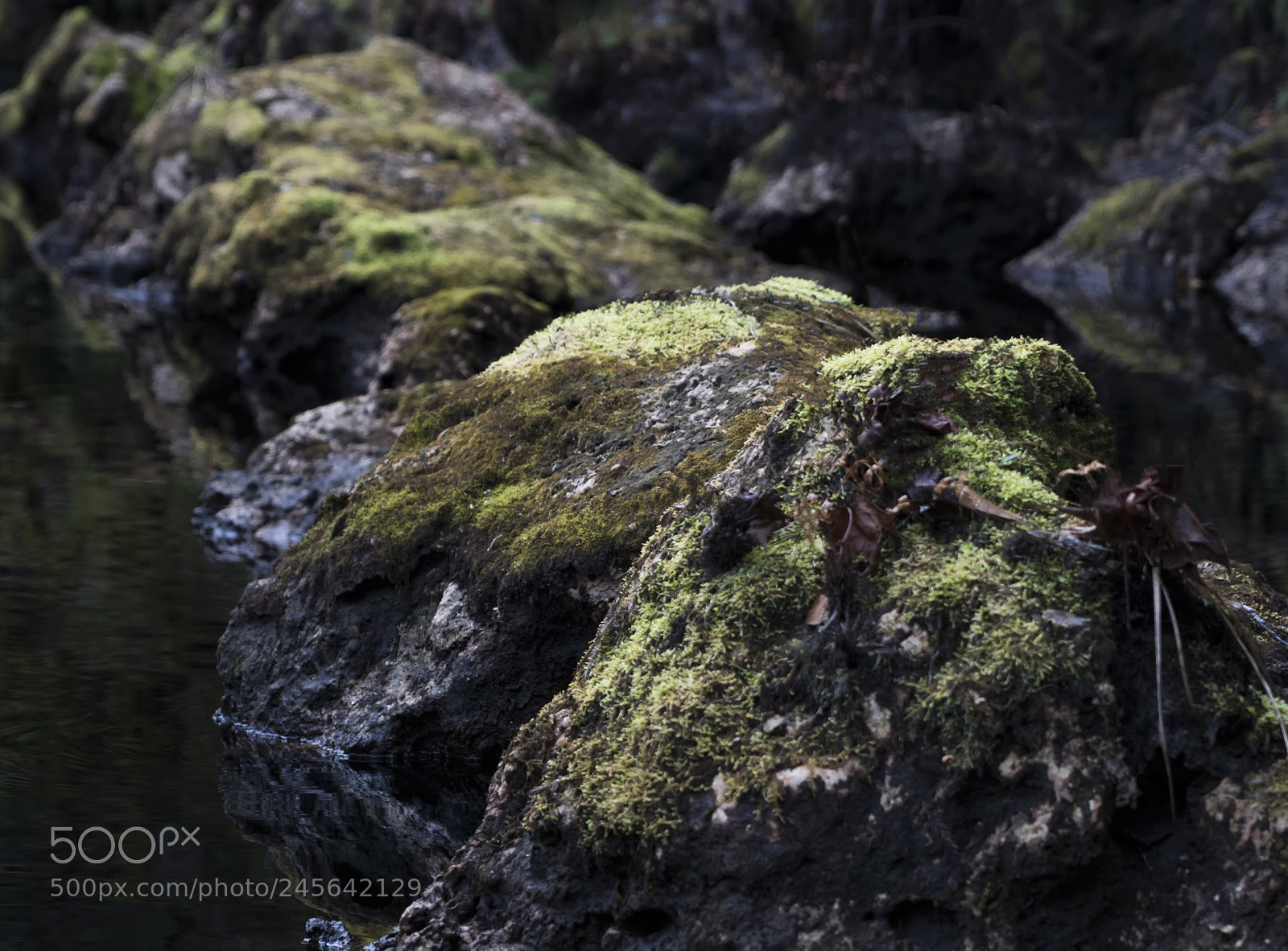 Sony a6500 sample photo. Mossy rocks on the photography
