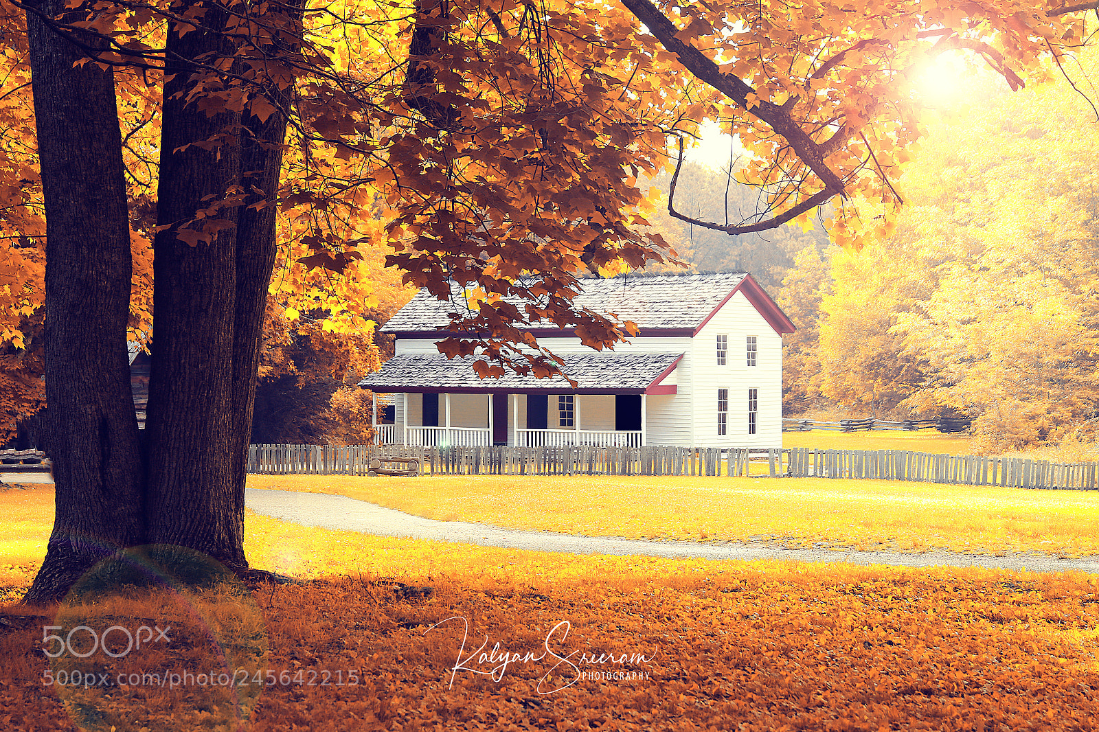 Canon EOS 7D Mark II sample photo. Cabin in the woods photography