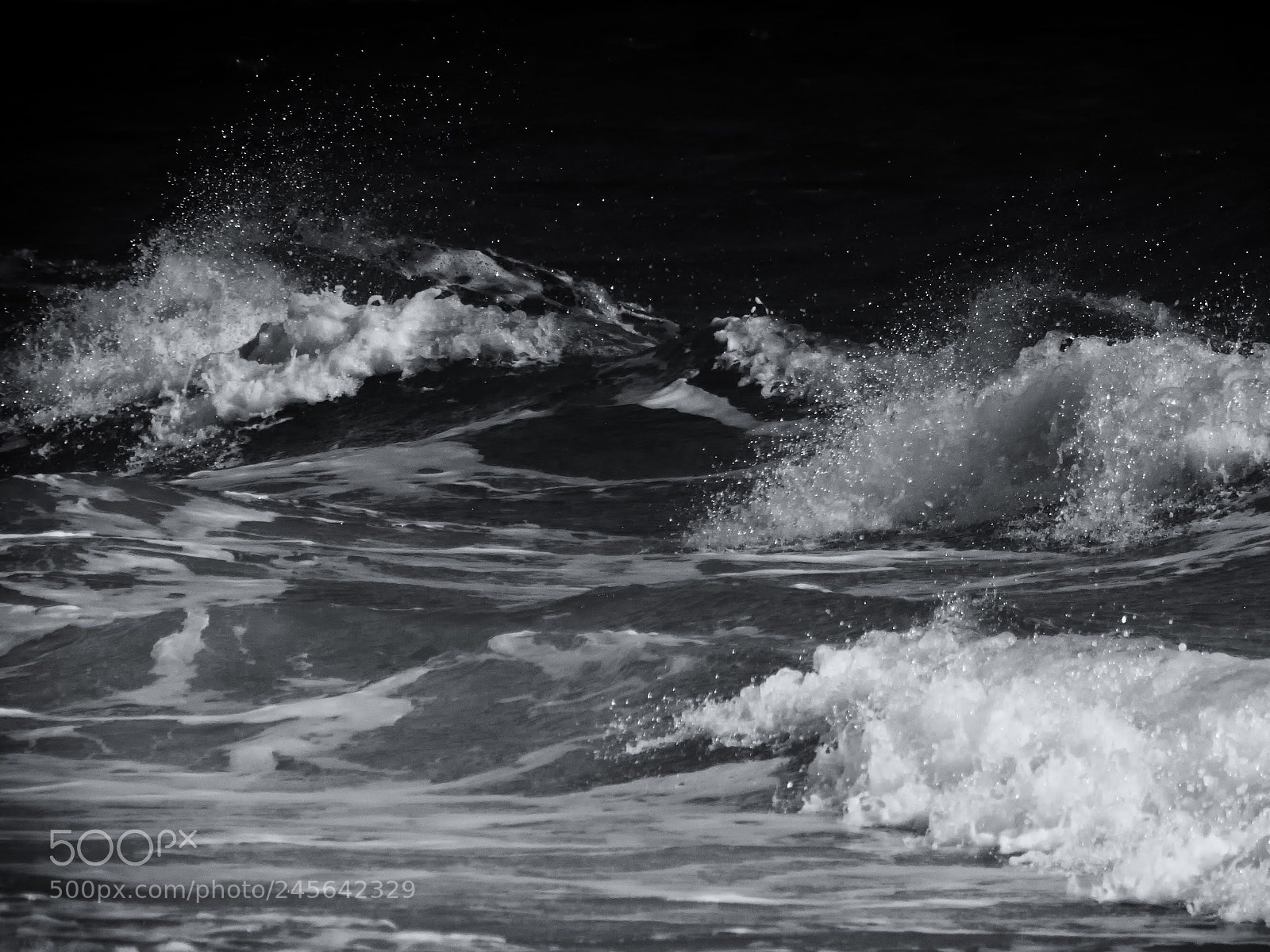 Sony a6500 sample photo. St.george island, fl, b photography