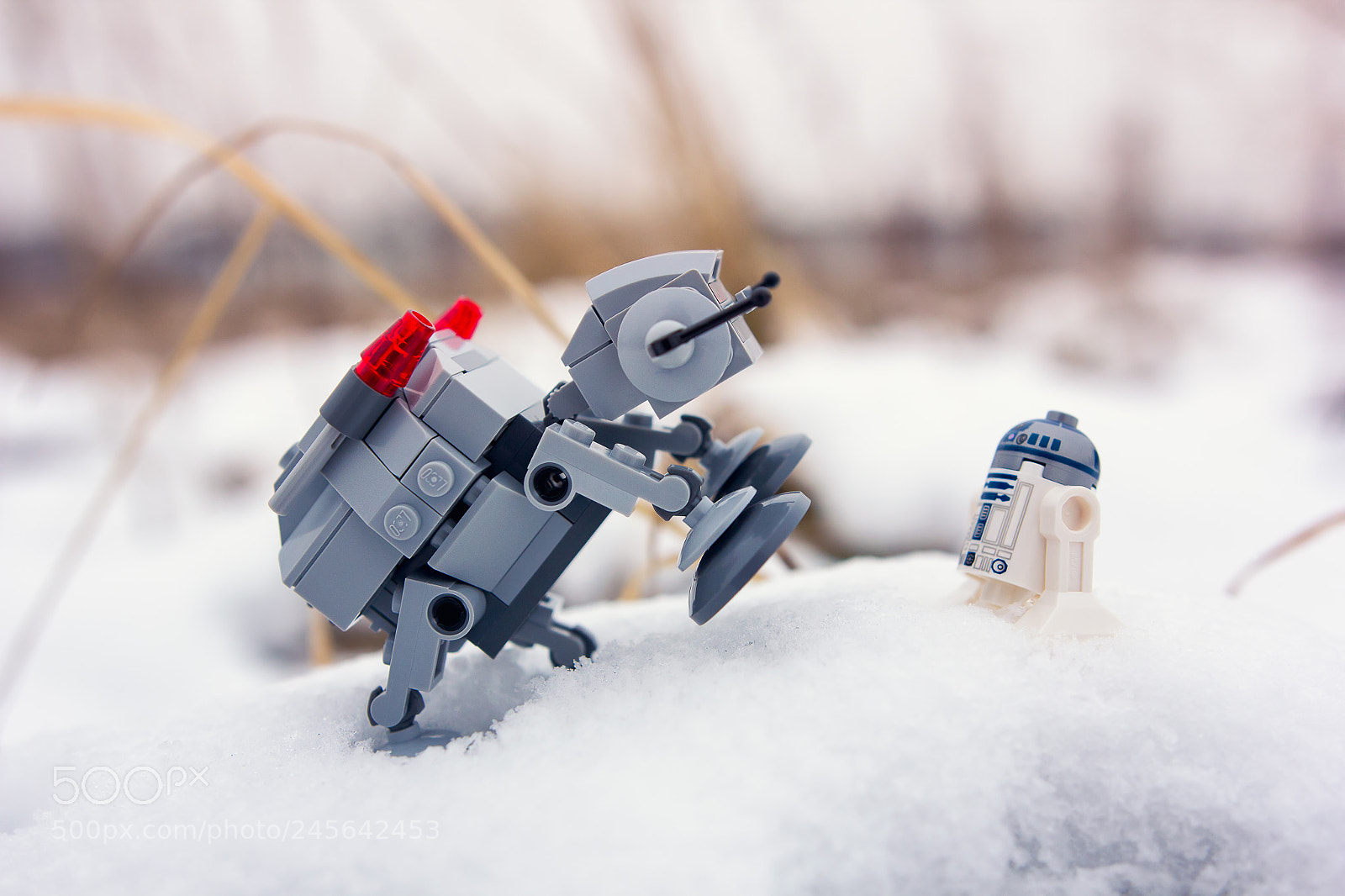 Canon EOS 60D sample photo. Playing in the snow photography