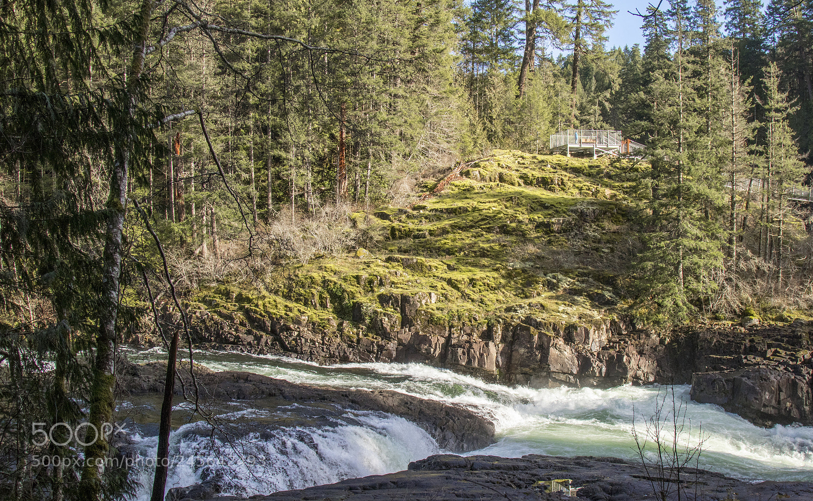 Canon EOS M5 sample photo. Campbell river photography