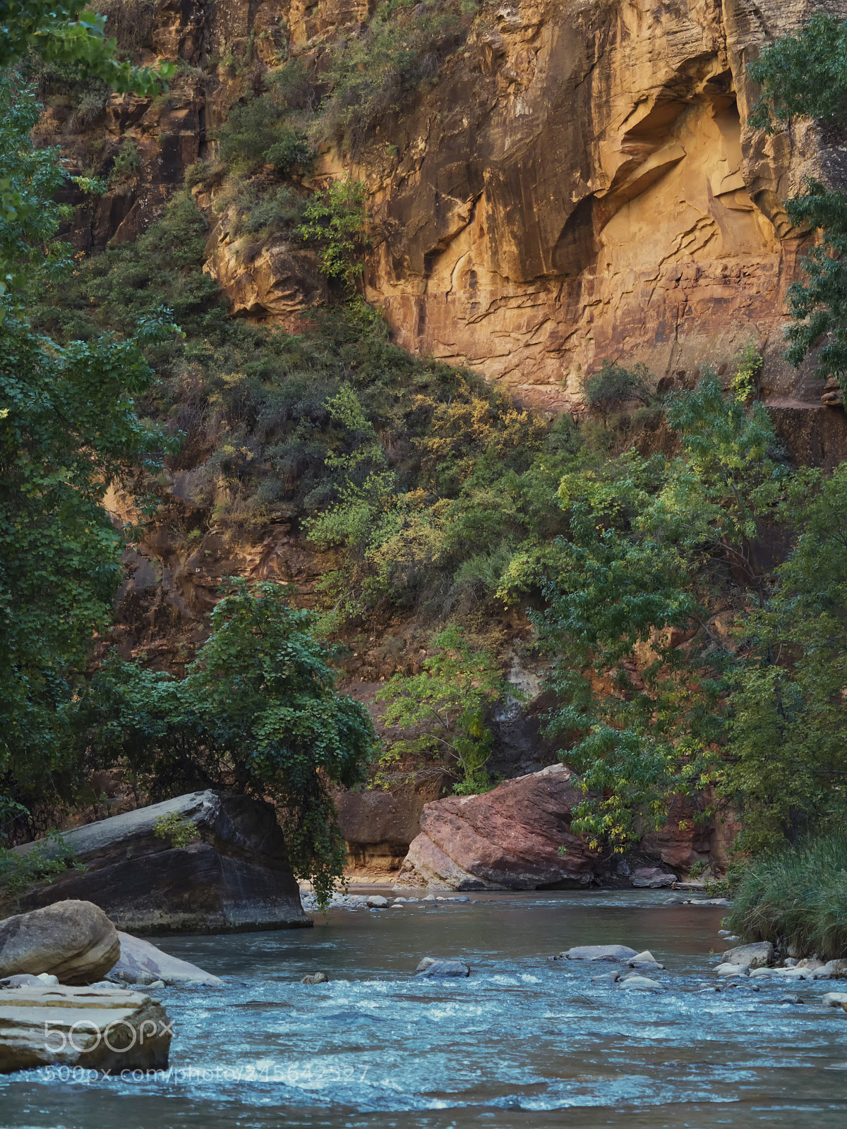 Sony a6500 sample photo. Zion national park photography