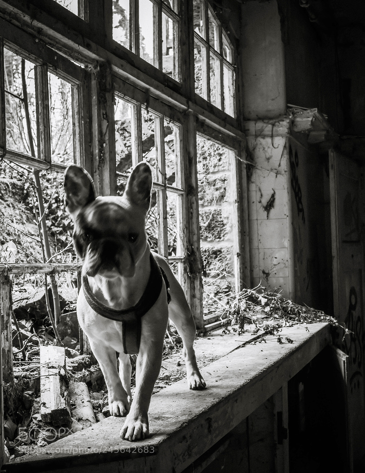 Nikon D7100 sample photo. Do you think i'm photography