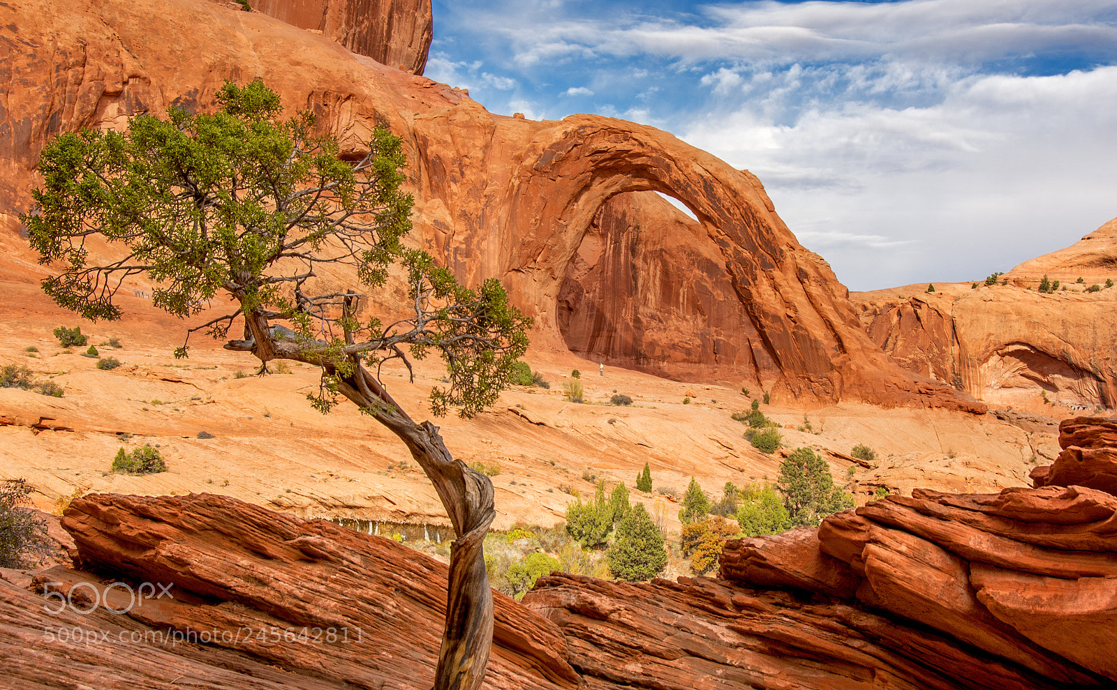 Nikon D7200 sample photo. Corona arch photography
