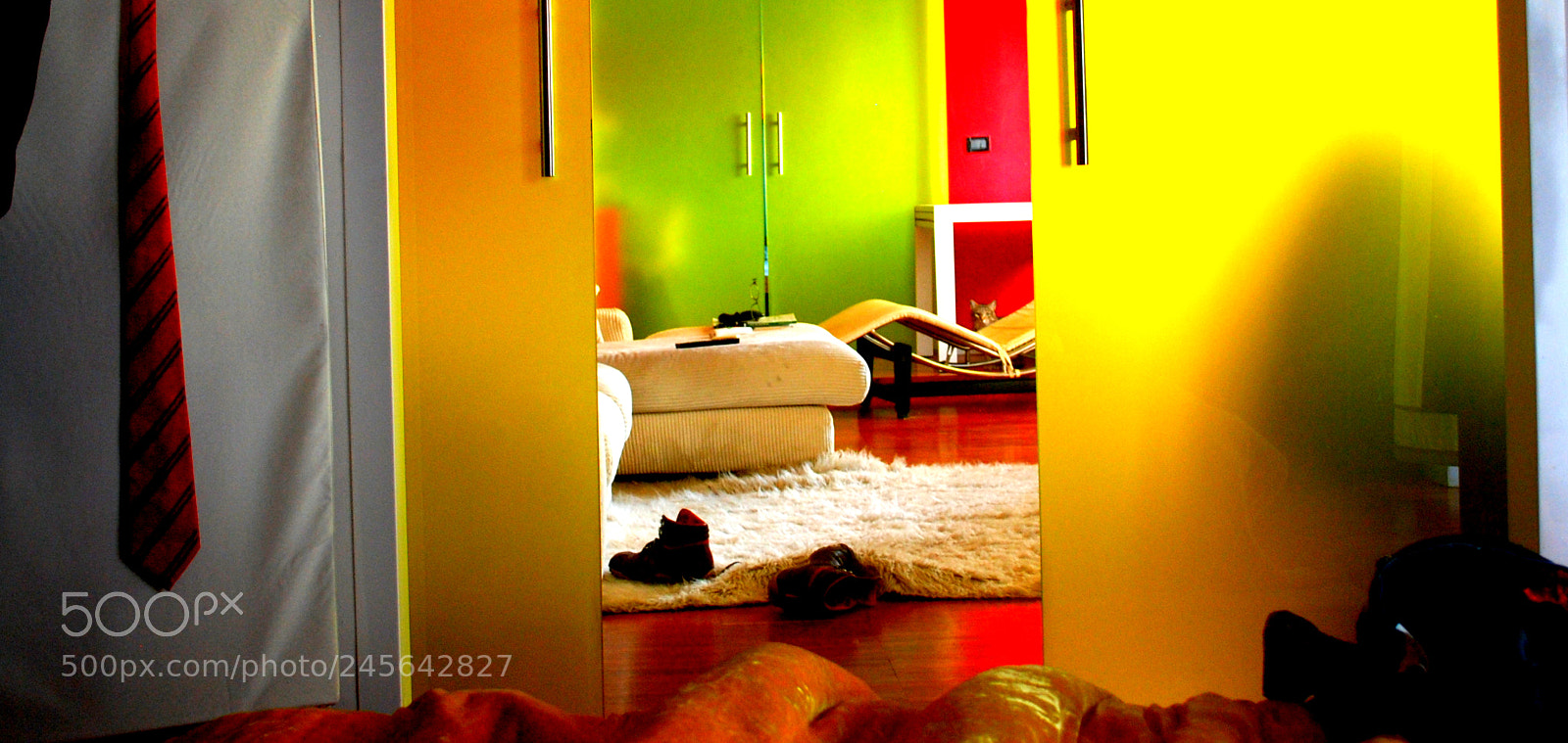 Nikon D80 sample photo. My house o photography