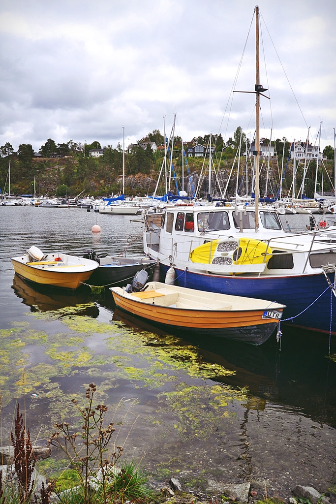 Nikon D5000 sample photo. On lidingö photography