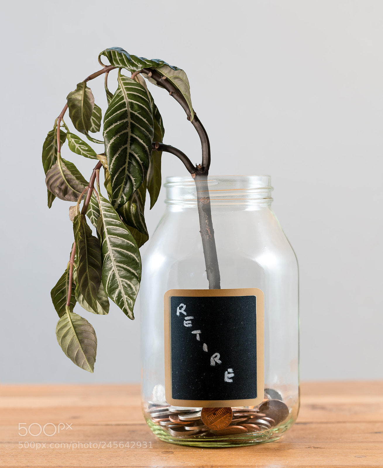 Sony a7R II sample photo. Loose change inside glass photography