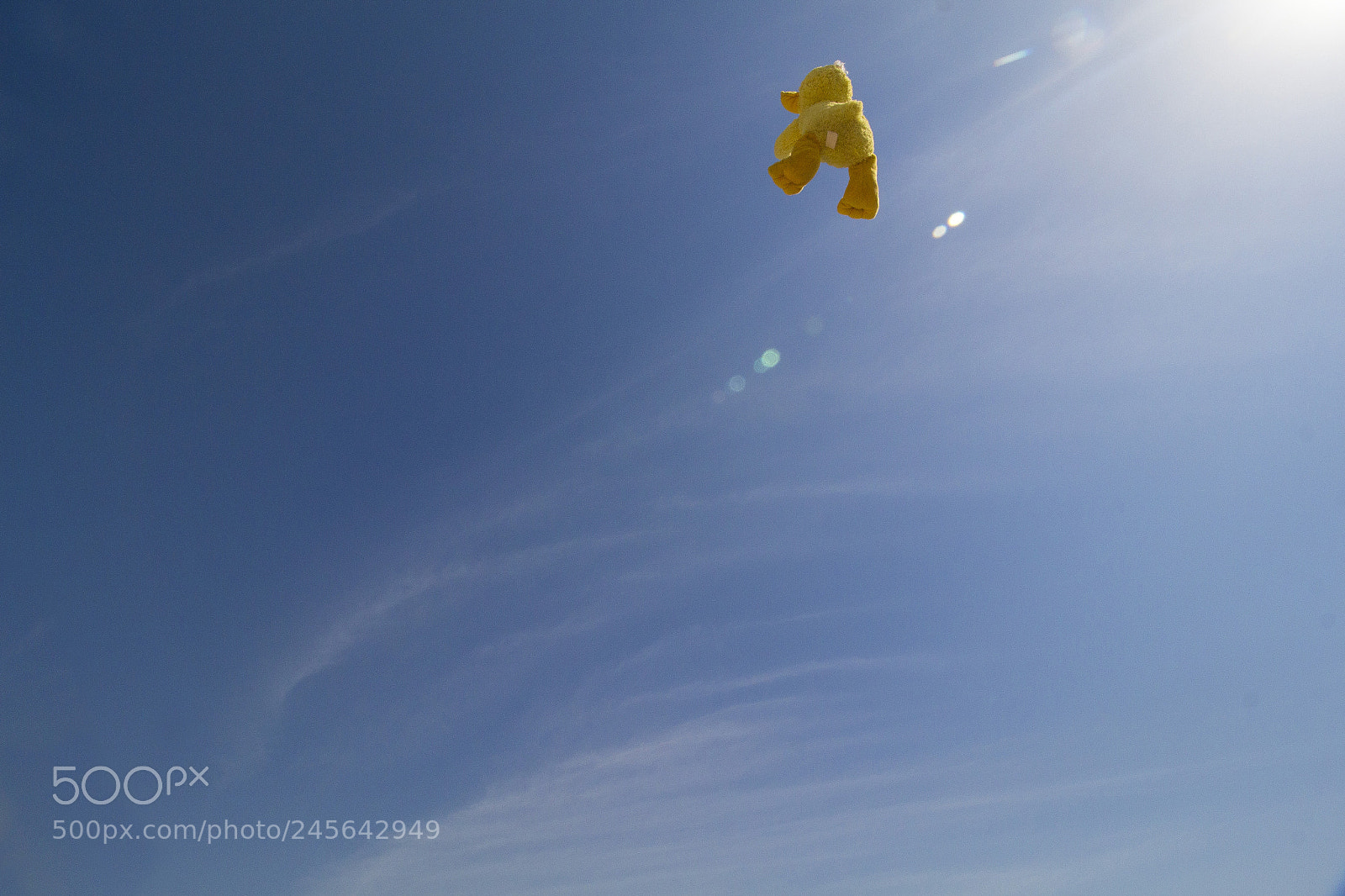 Canon EOS 650D (EOS Rebel T4i / EOS Kiss X6i) sample photo. The flying duck photography