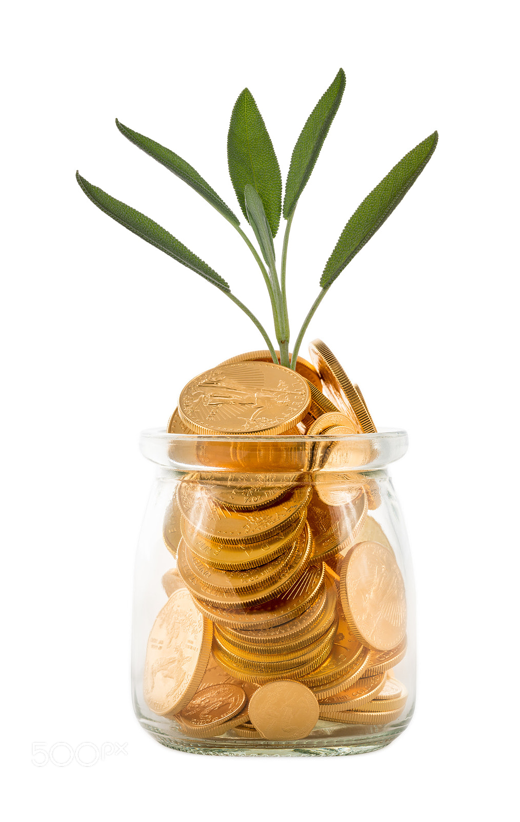 Sony a7R II sample photo. Gold coins inside glass photography