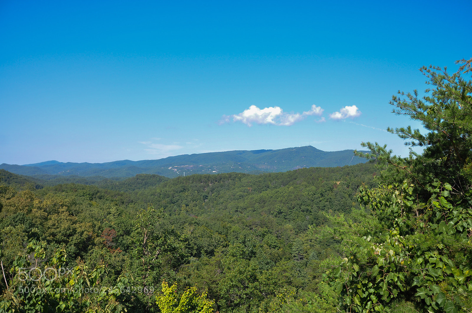 Nikon D90 sample photo. Untitled photography