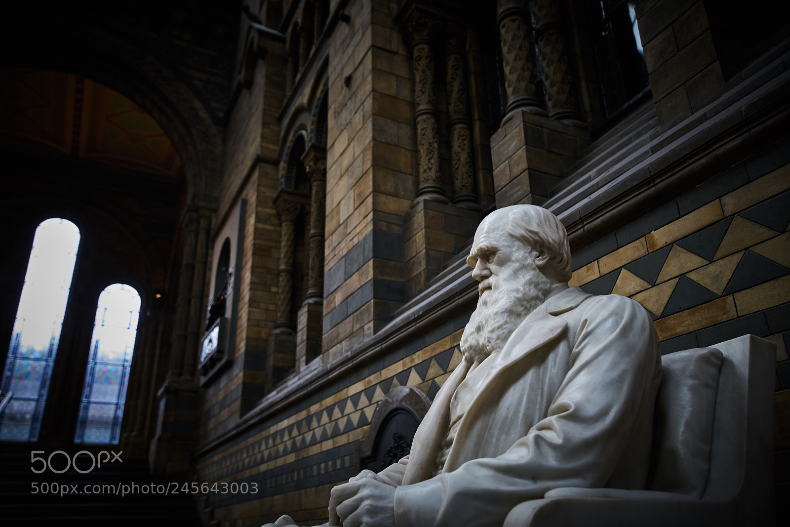 Sony a7R II sample photo. Darwins sad eyes photography