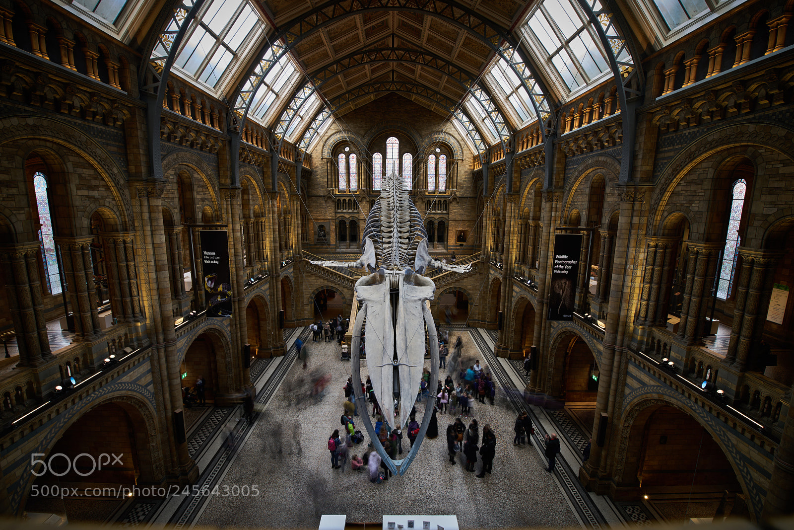 Sony a7R II sample photo. Natural history photography