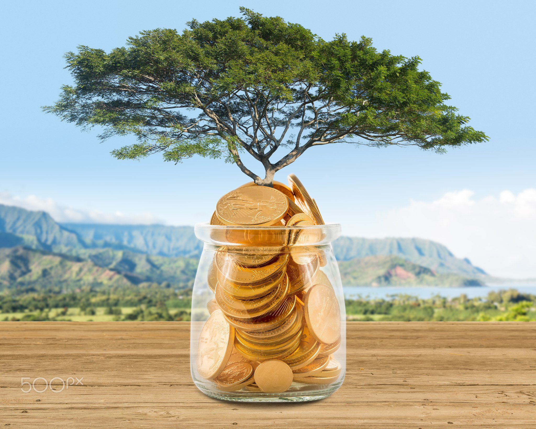 Concept image of wealth growing on trees out of gold coins