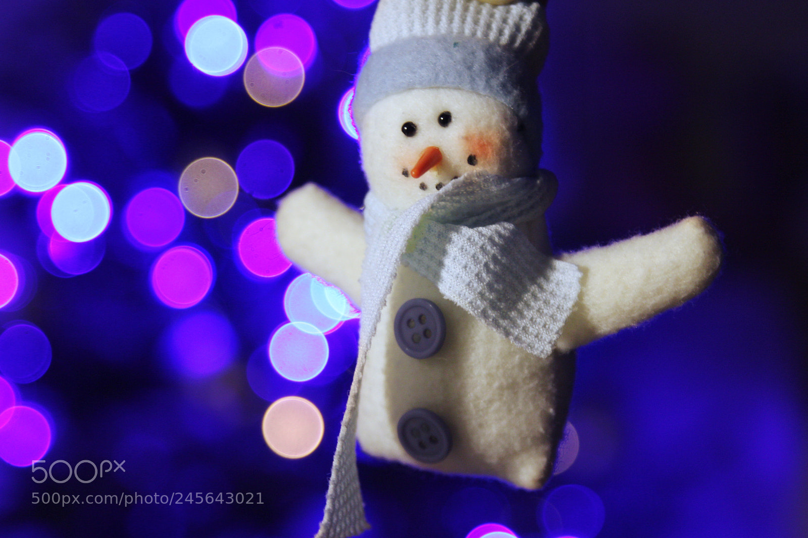 Canon EOS 500D (EOS Rebel T1i / EOS Kiss X3) sample photo. Snowman photography