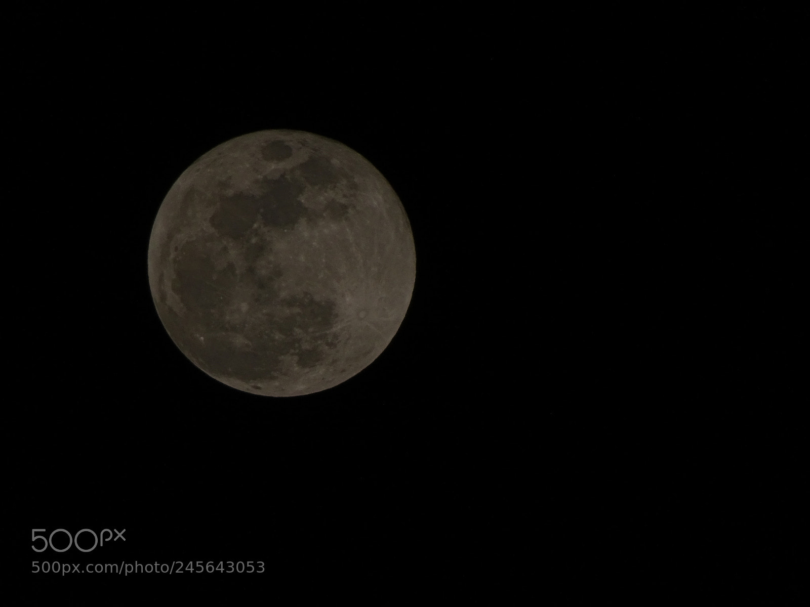 Sony Cyber-shot DSC-HX400V sample photo. Dsc photography