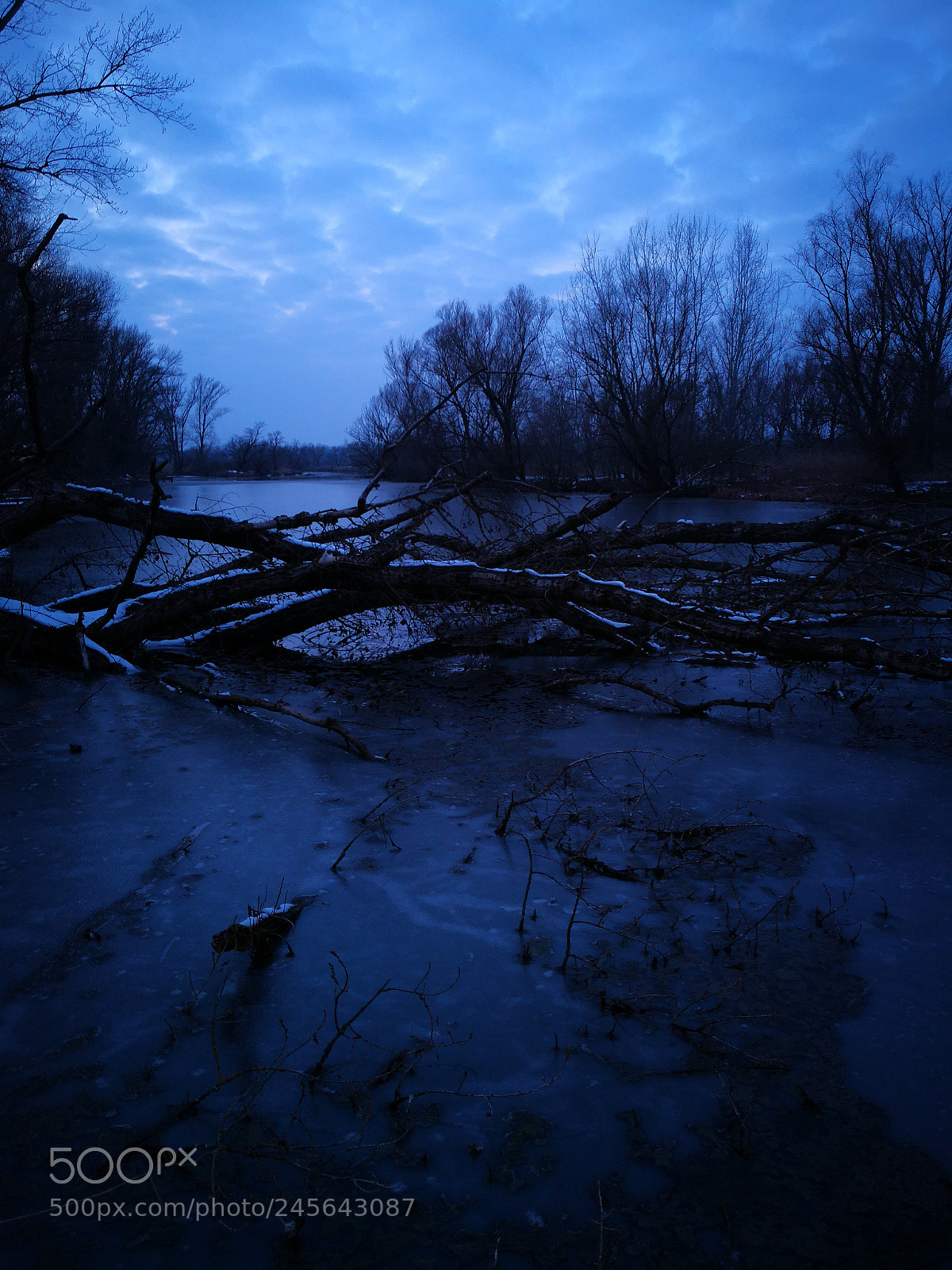 HUAWEI Mate 10 Pro sample photo. Untitled photography