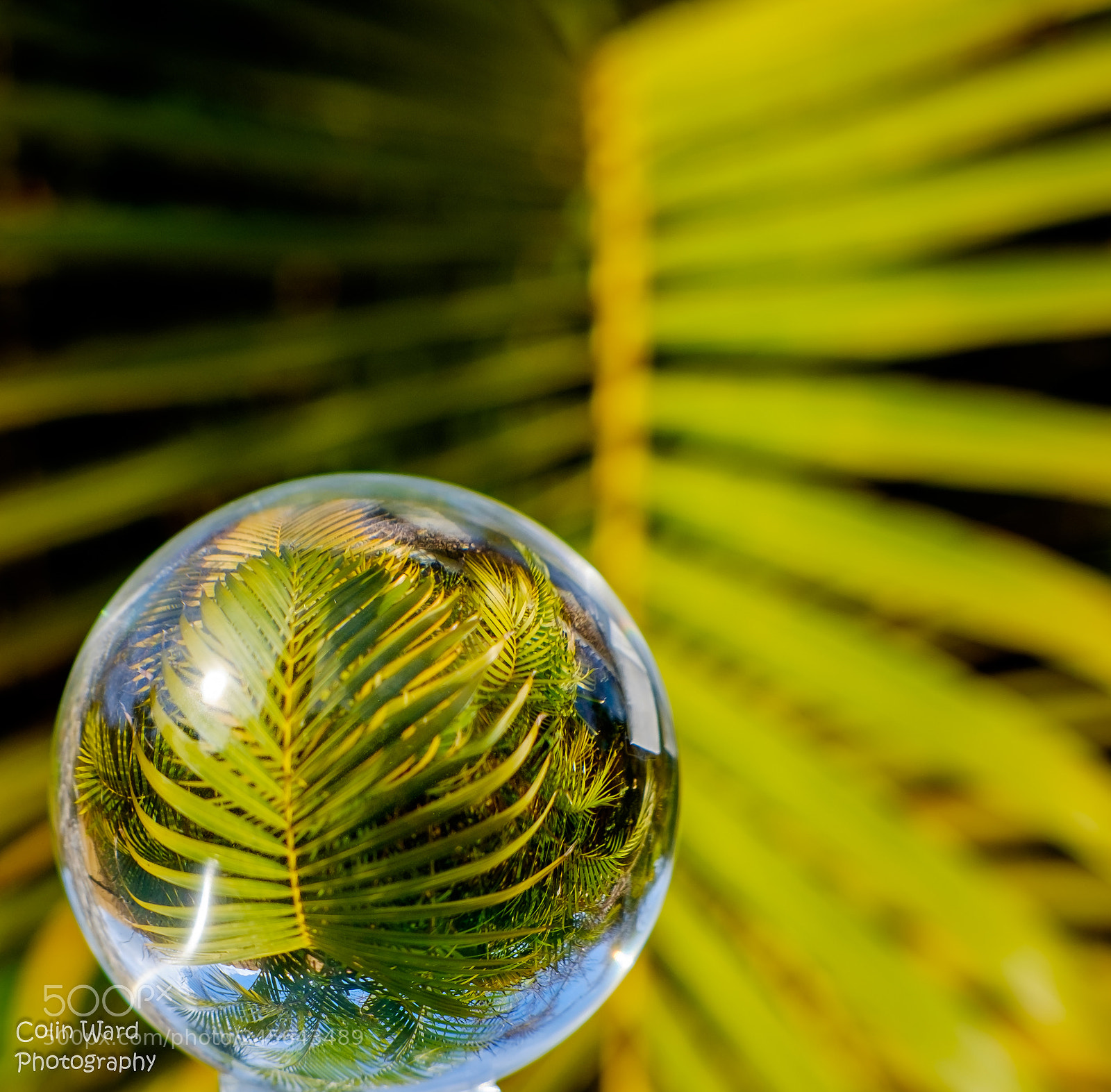 Fujifilm X-T1 sample photo. Crystal ball photography