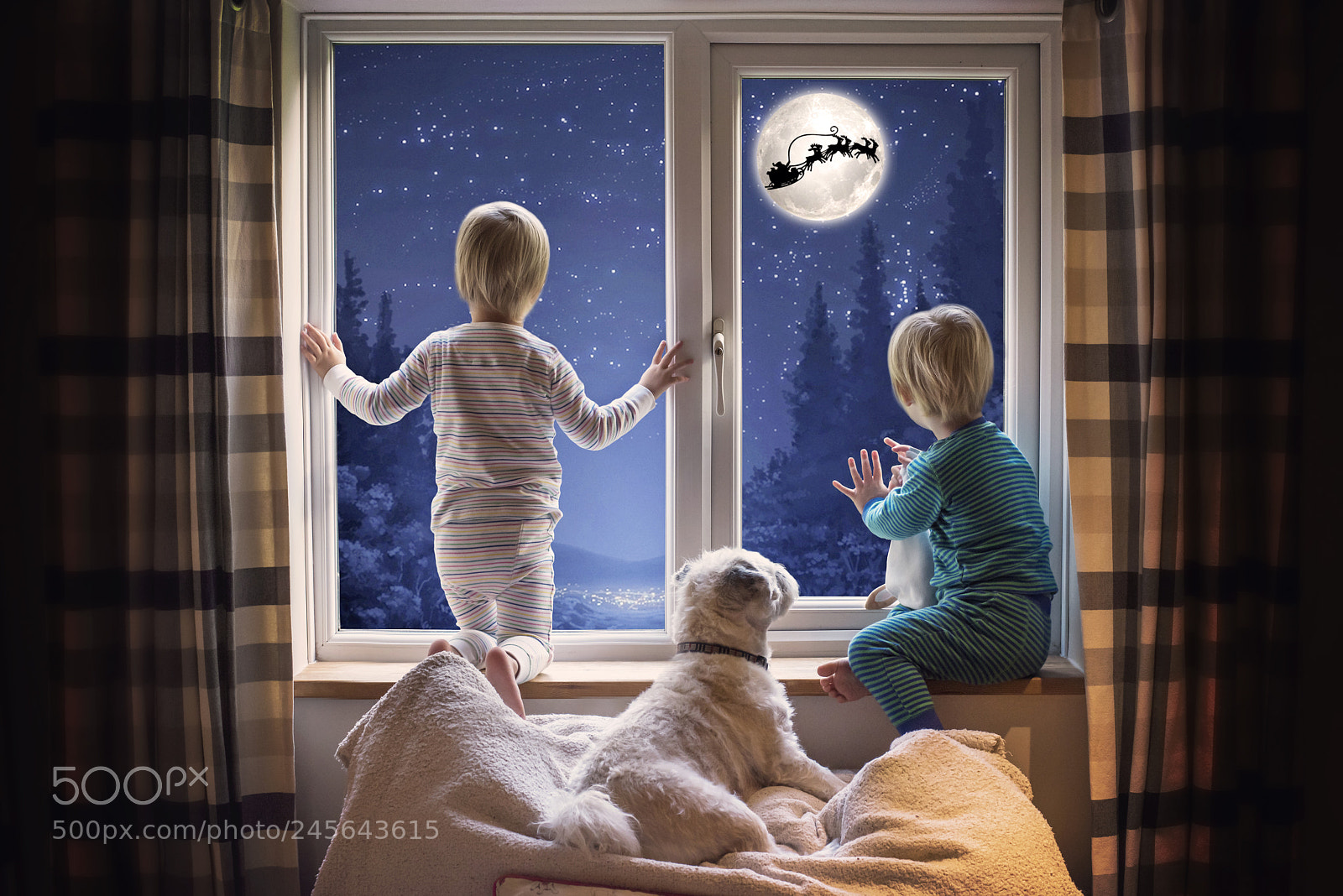 Nikon D810 sample photo. Twins spot santa on photography