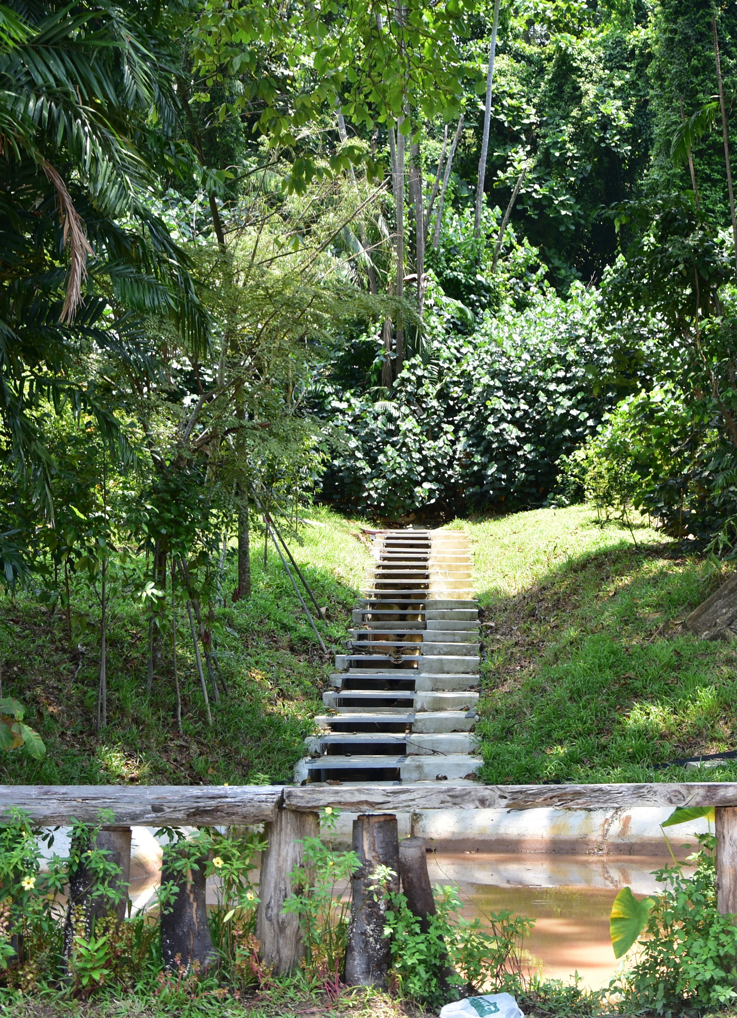 Nikon D3400 sample photo. Sentosa - singapore photography