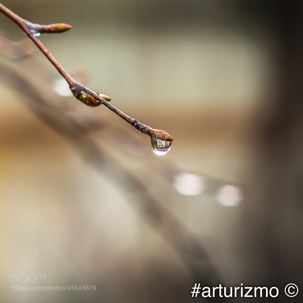 Nikon D7200 sample photo. Raindrop photography