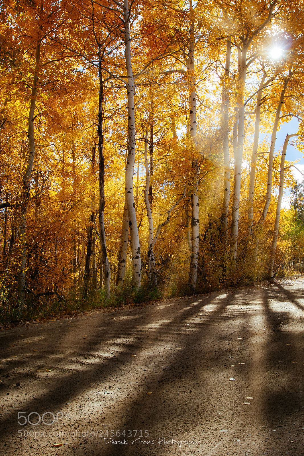 Canon EOS 750D (EOS Rebel T6i / EOS Kiss X8i) sample photo. Rays and roads photography