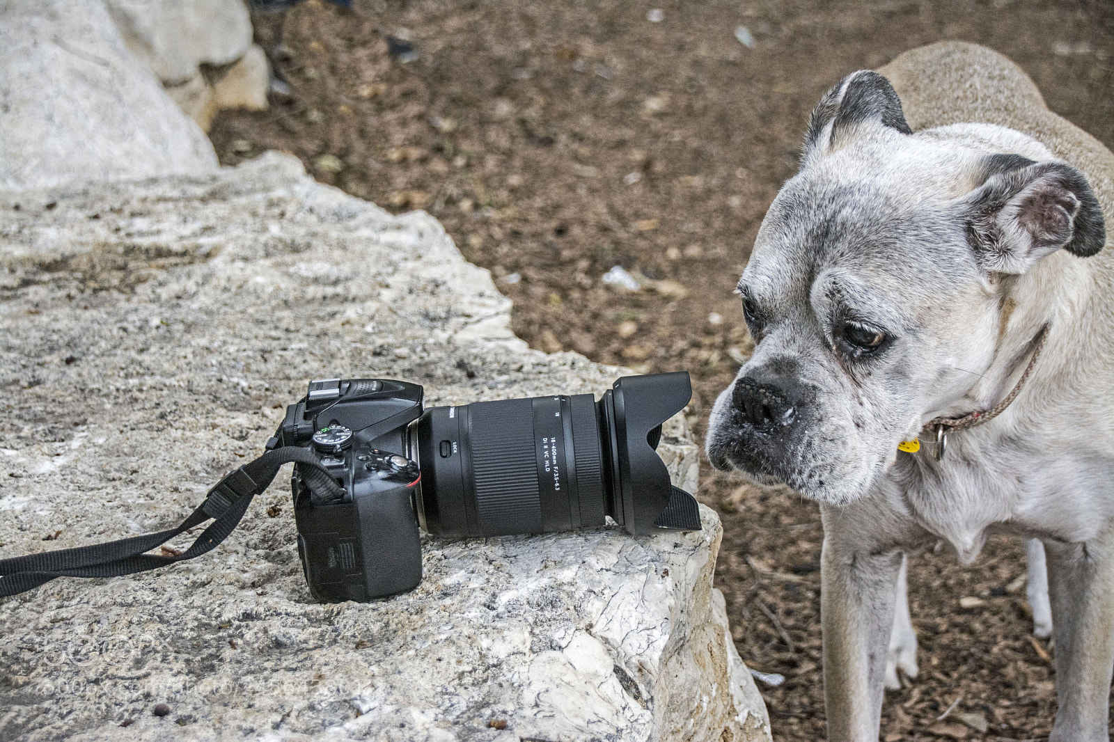 Nikon D7100 sample photo. Looks tasty.. photography
