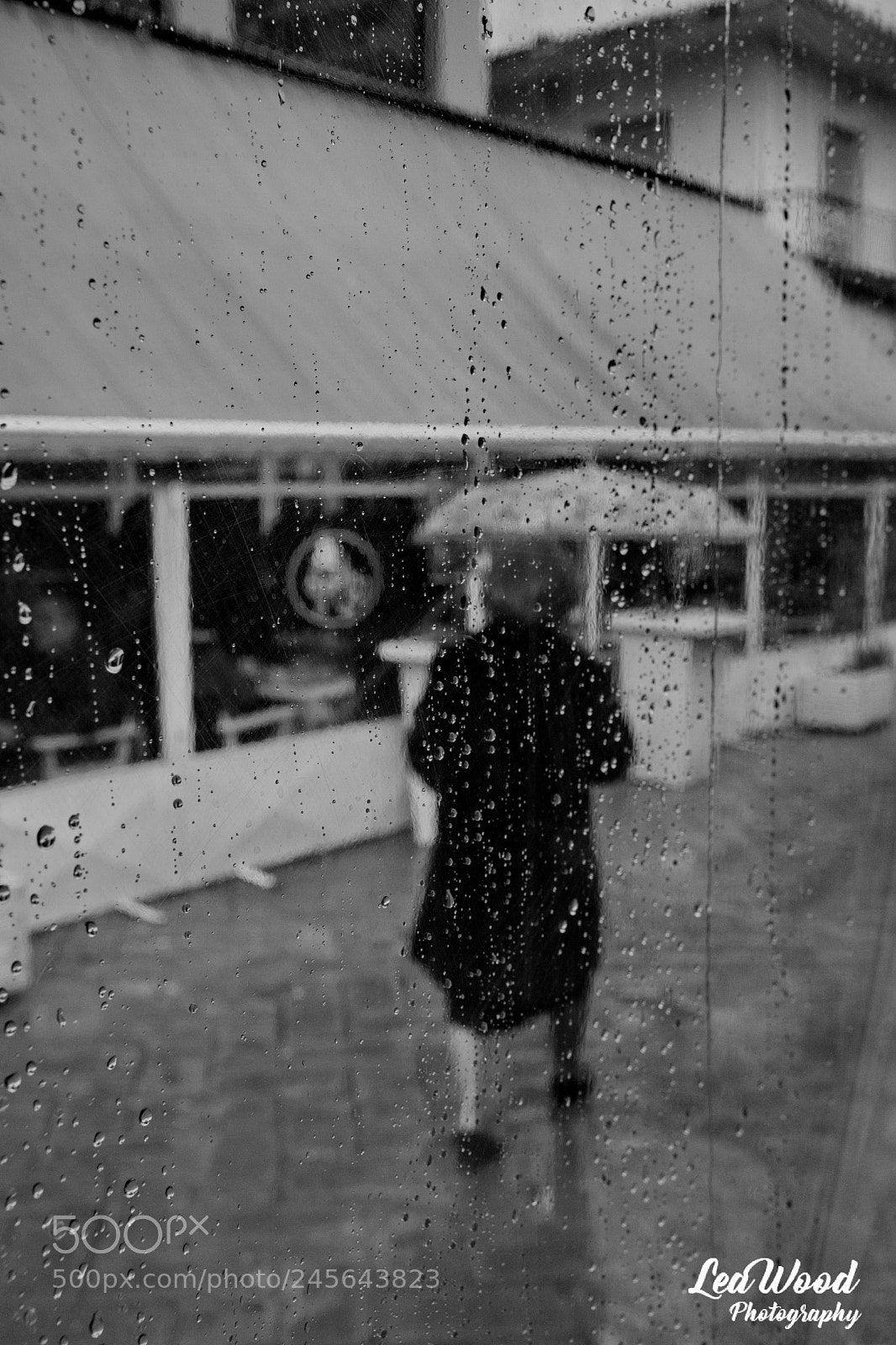 Nikon D7100 sample photo. Rain. sweet melancholy photography