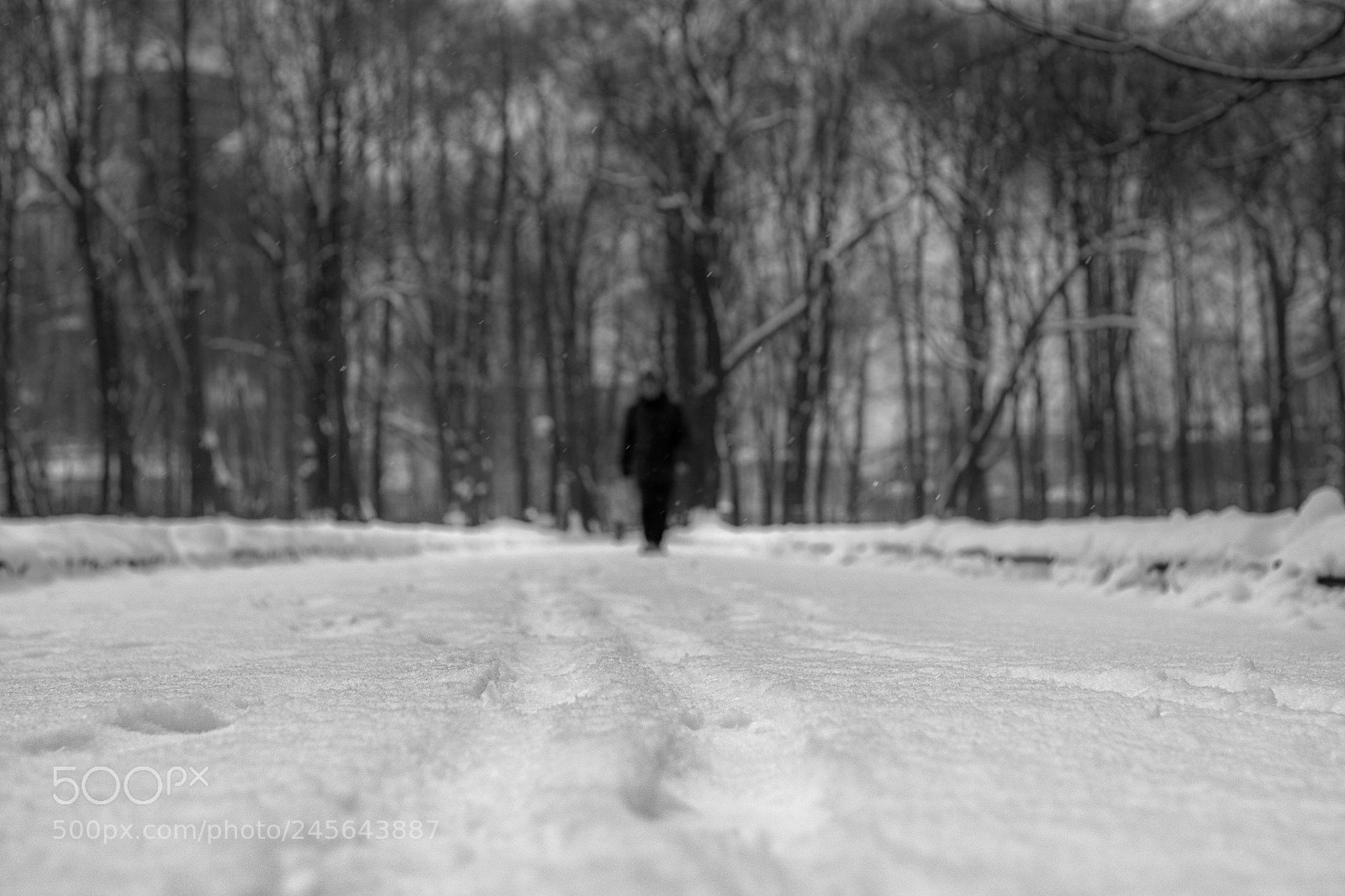 Olympus OM-D E-M1 sample photo. The road ahead photography