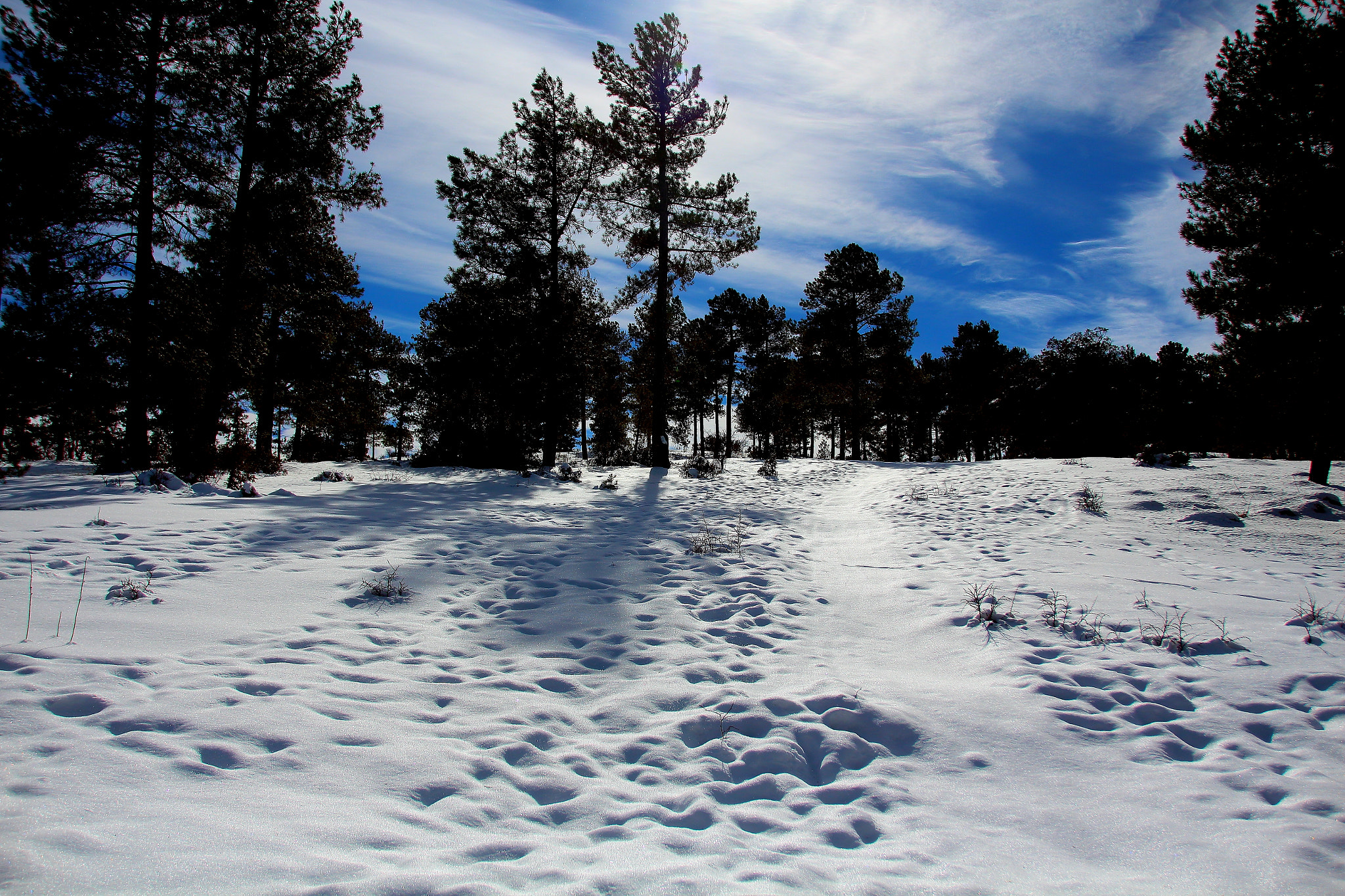 Canon EOS 650D (EOS Rebel T4i / EOS Kiss X6i) sample photo. Nieve photography