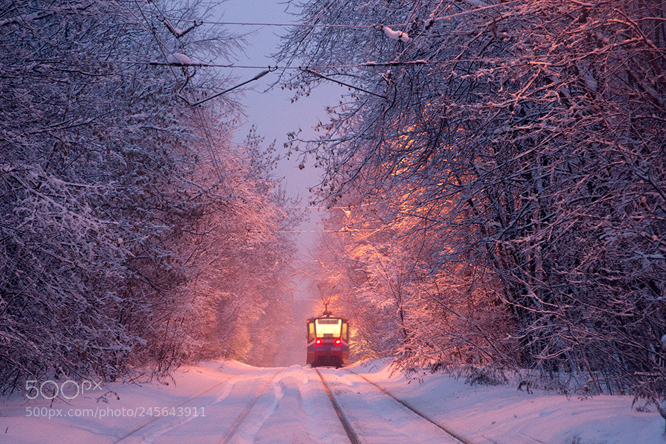 Sony SLT-A99V sample photo. Winter tram photography