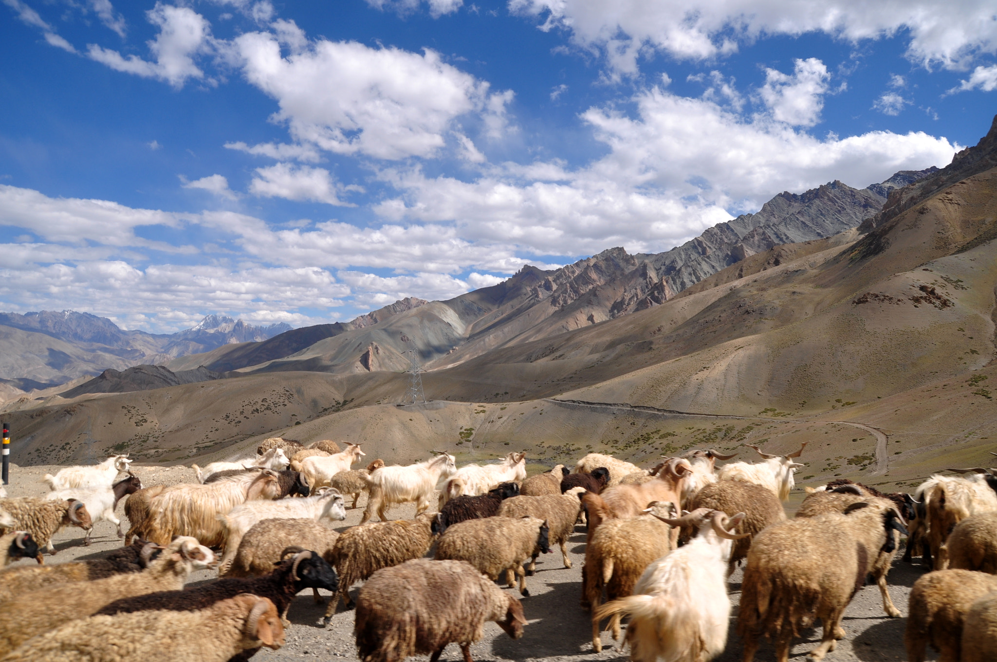 Nikon D90 sample photo. Leh-ladakh highway photography