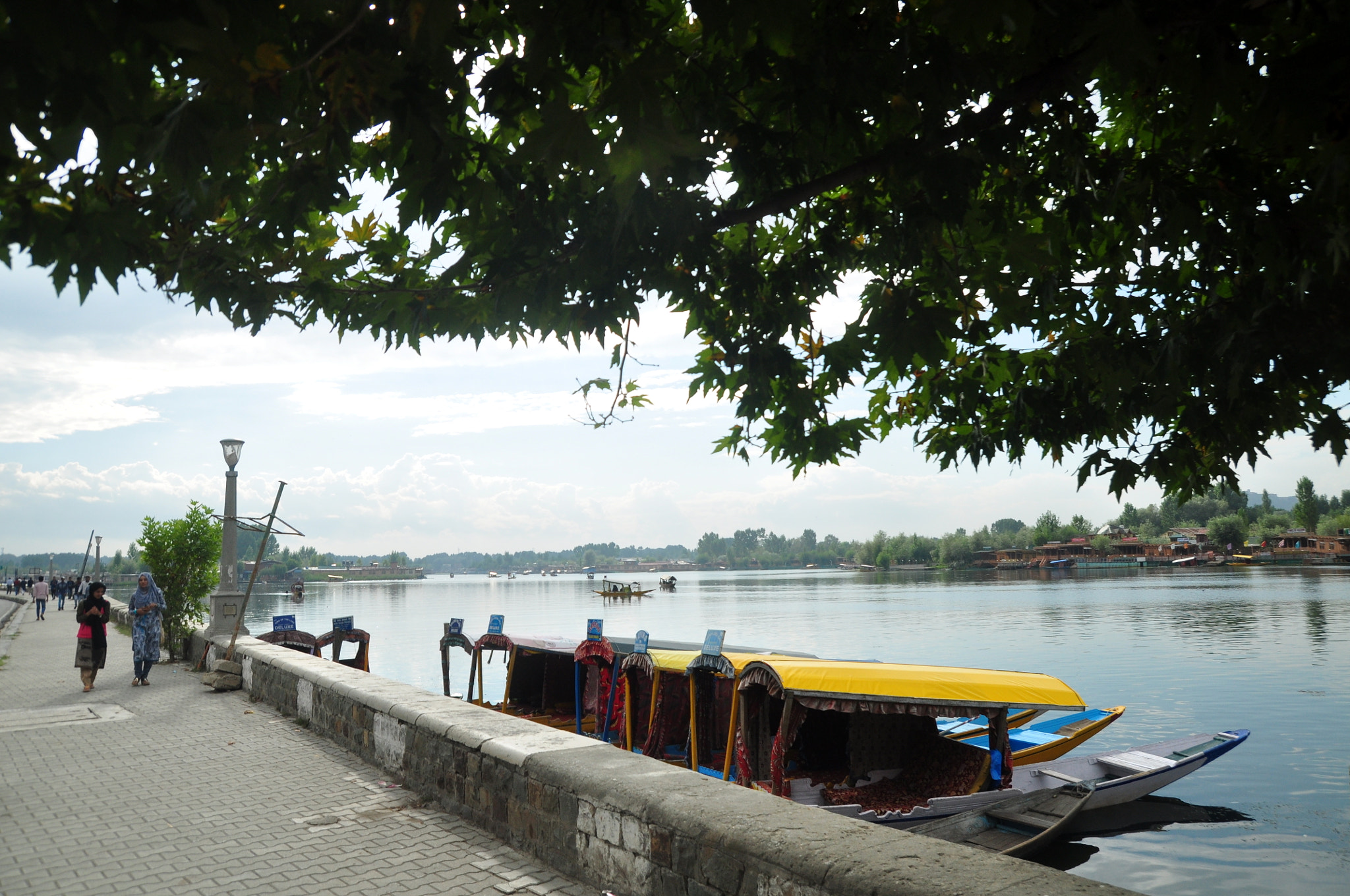 Nikon D90 sample photo. Dale lake boatside photography