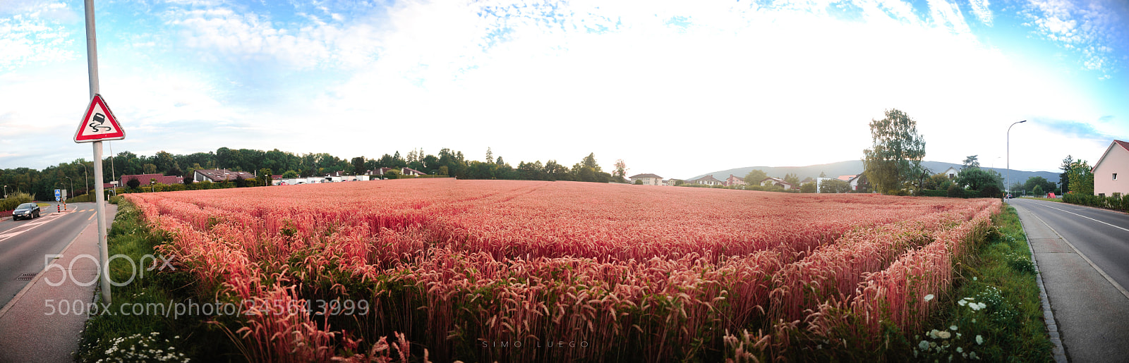 Nikon D700 sample photo. Neuchatel city photography