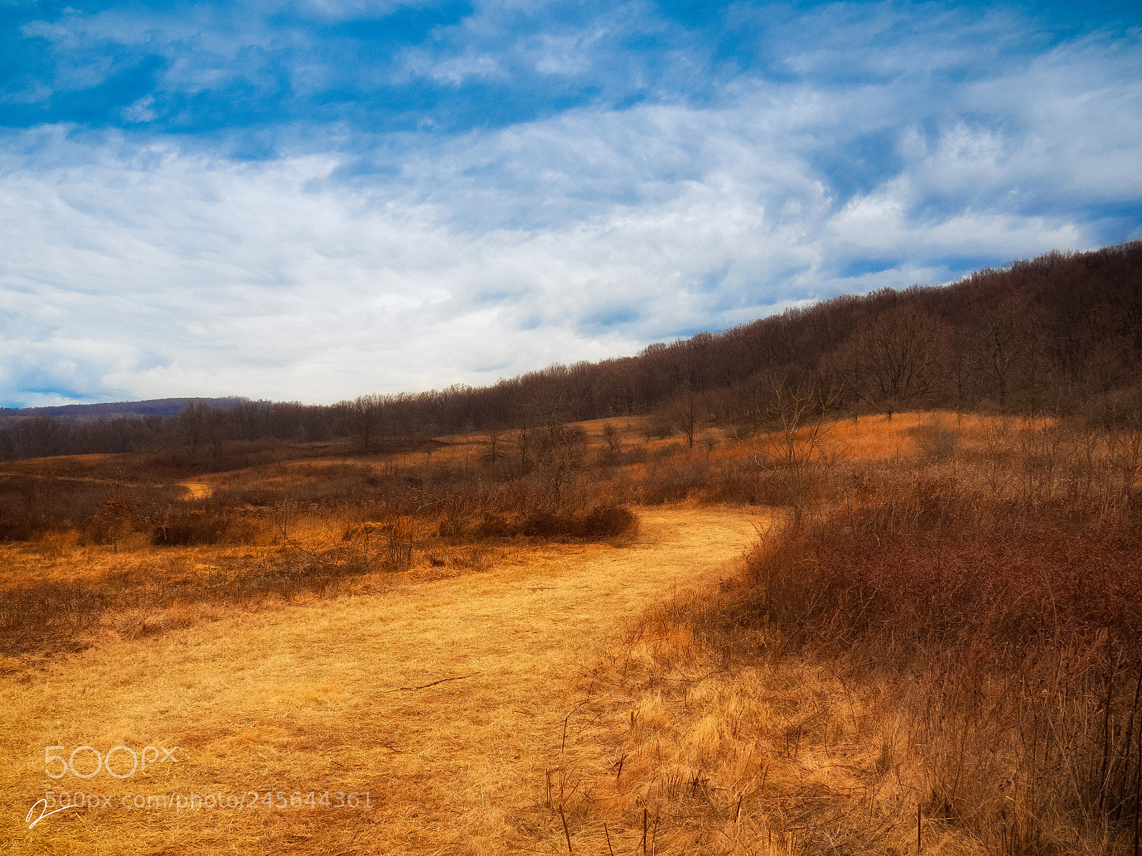 Olympus PEN-F sample photo. Lost mountain trail photography
