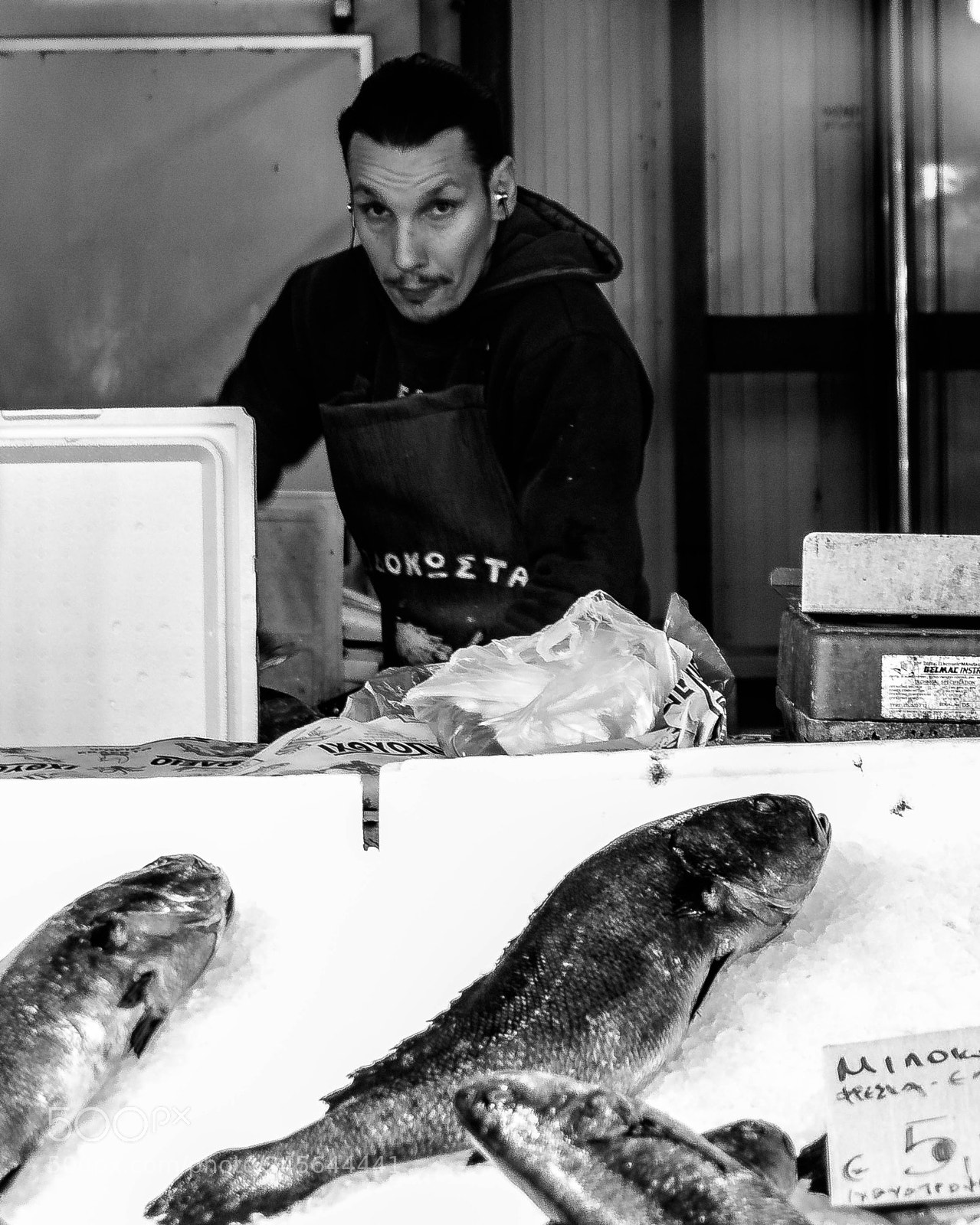 Canon EOS 500D (EOS Rebel T1i / EOS Kiss X3) sample photo. Working in the fish photography