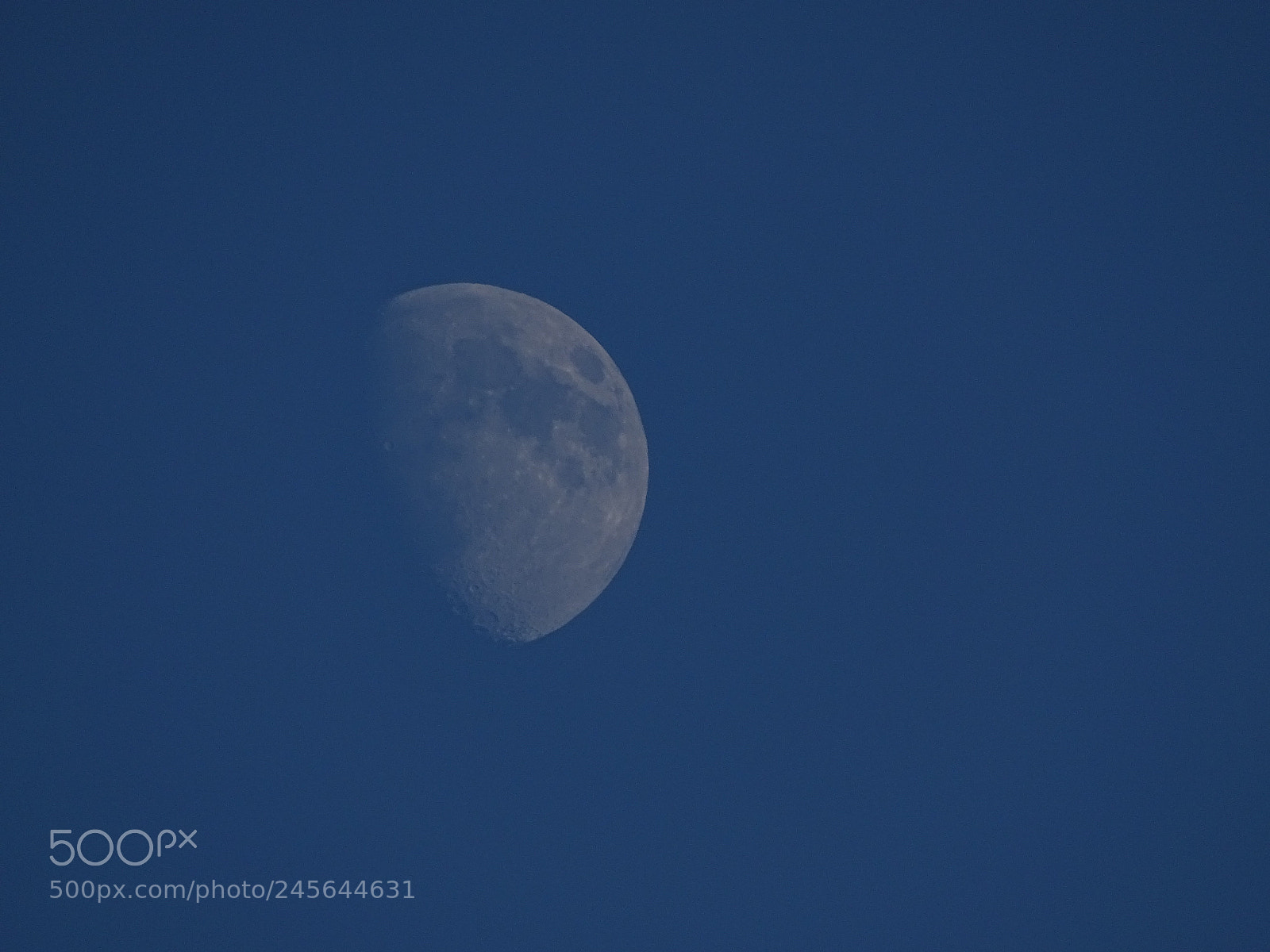 Sony Cyber-shot DSC-HX400V sample photo. Dsc photography