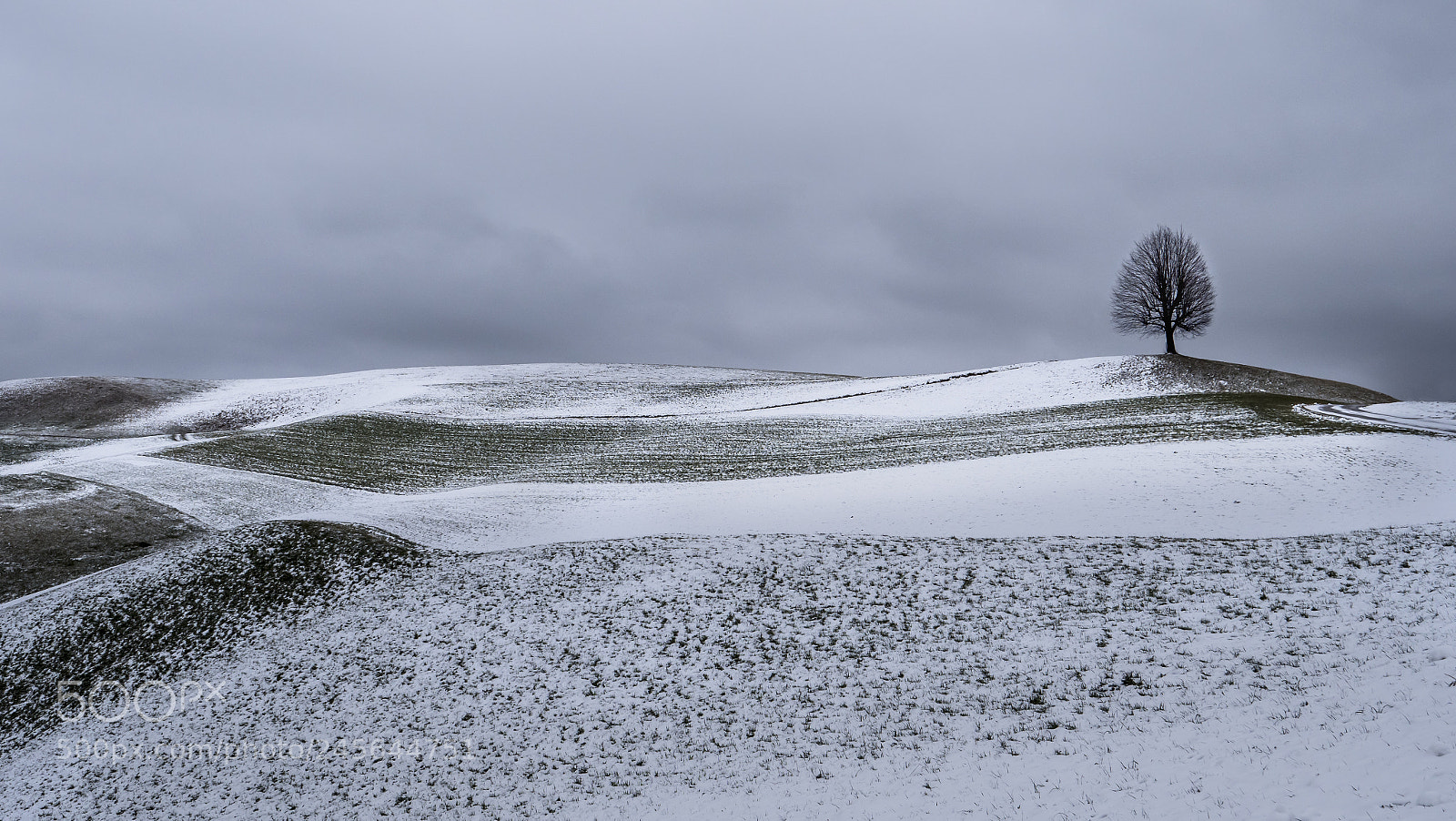 Panasonic Lumix DC-G9 sample photo. Snowfield with linden hill photography
