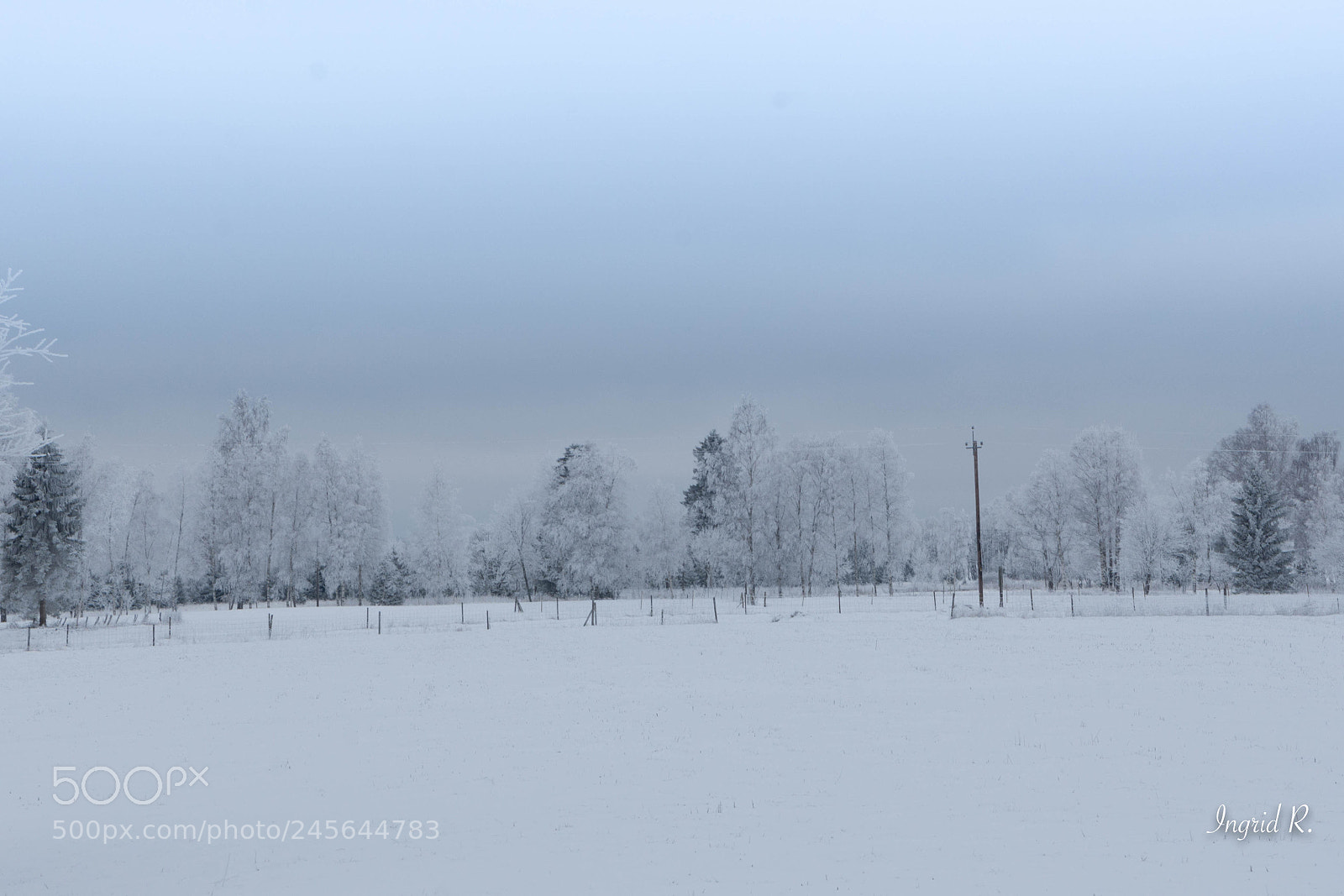 Nikon D7200 sample photo. Winter (of ) photography