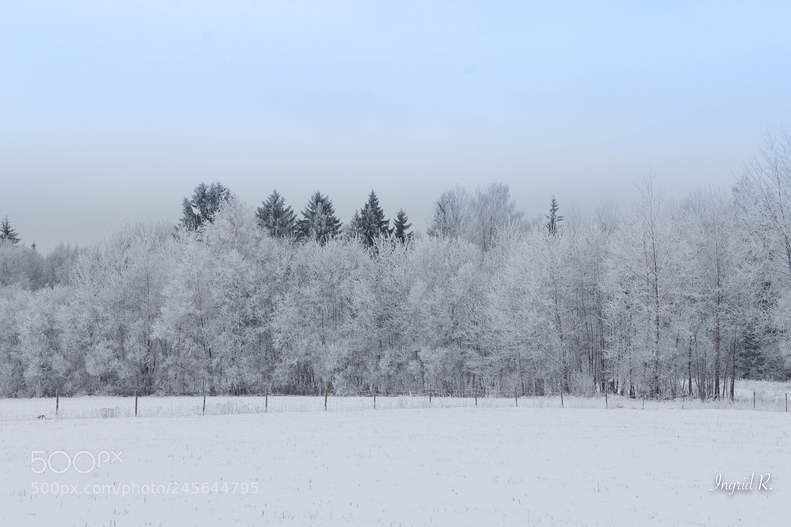 Nikon D7200 sample photo. Winter (of ) photography