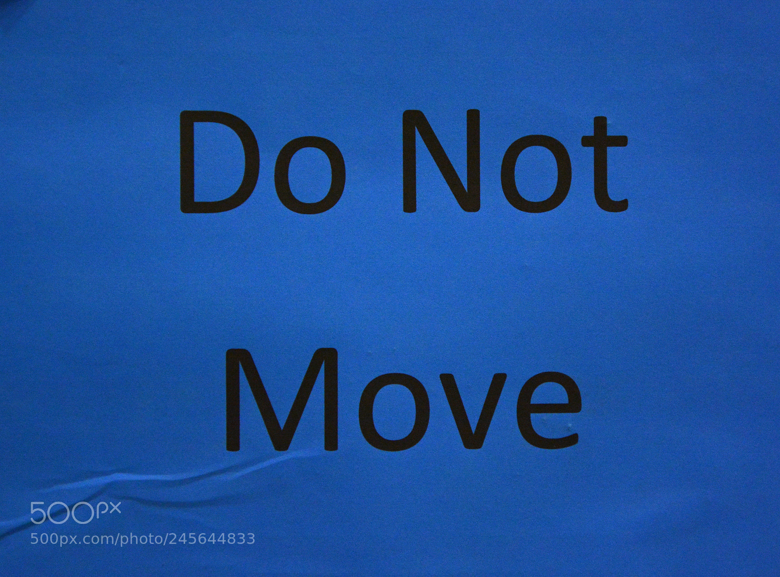 Nikon D7100 sample photo. Be inert photography