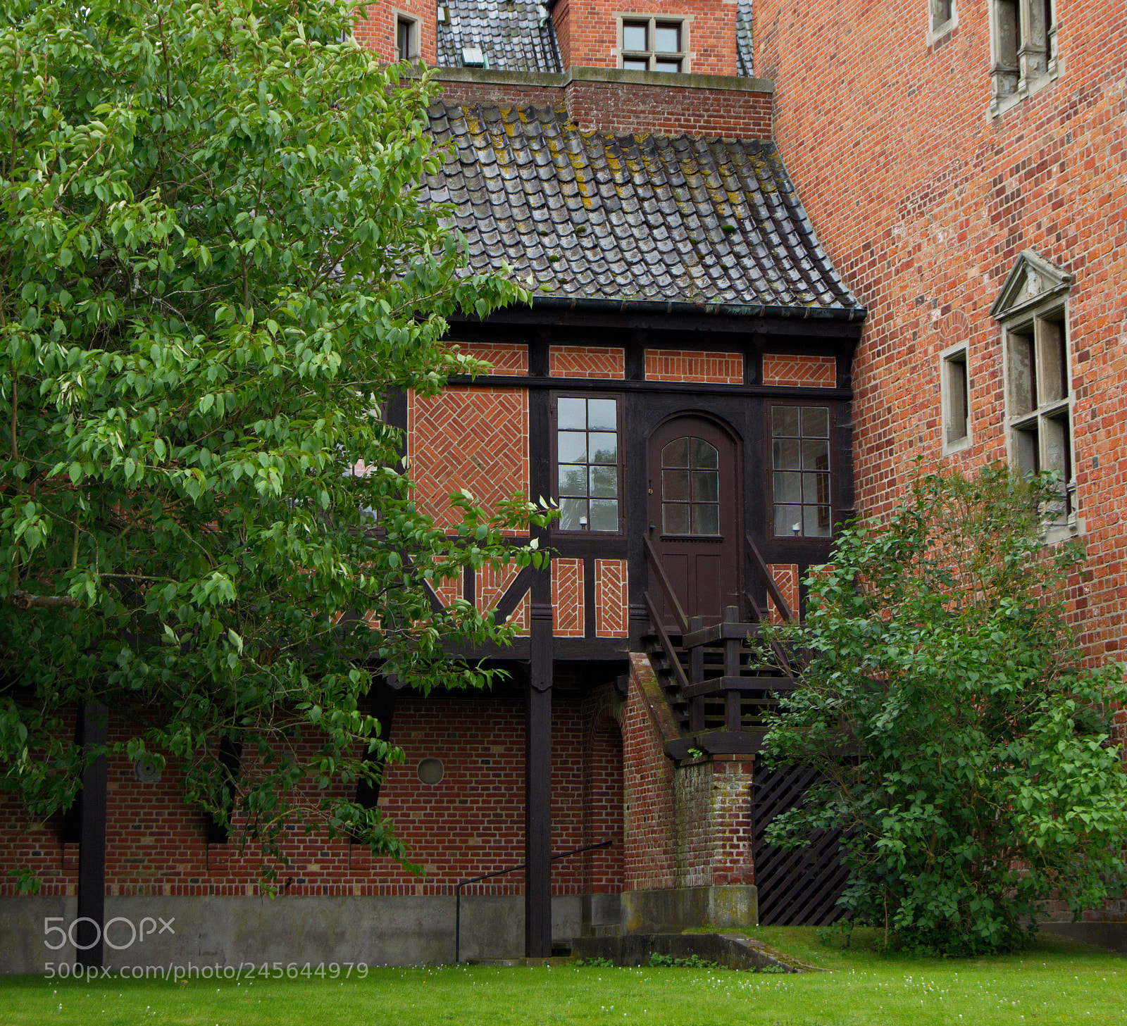 Nikon D5200 sample photo. Backdoor photography