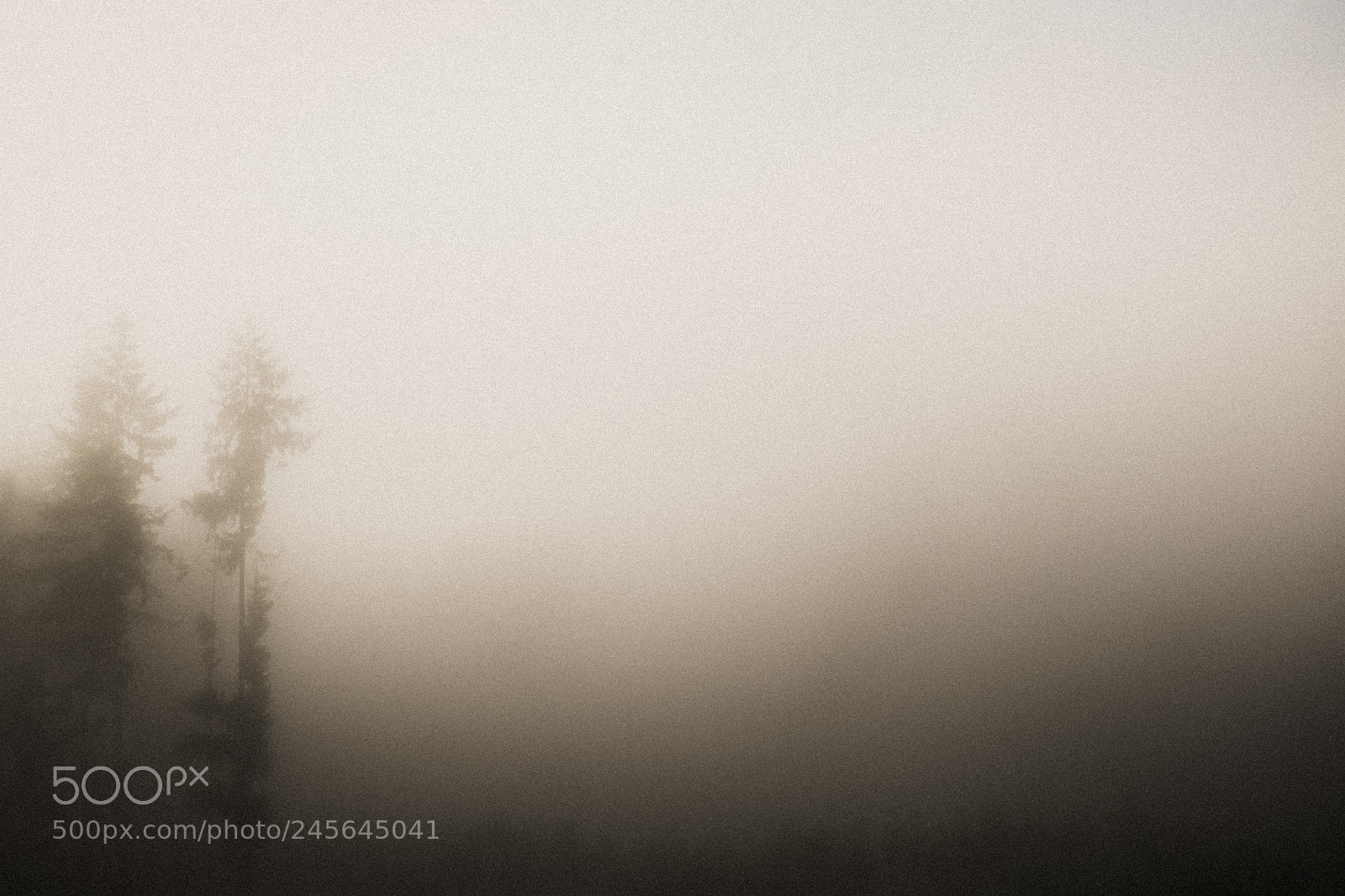 Fujifilm X-T2 sample photo. Montesano, wa photography