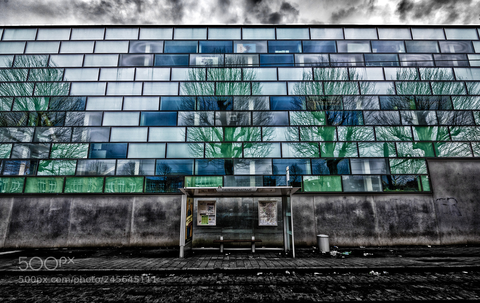 Nikon D810 sample photo. Gent reflection photography