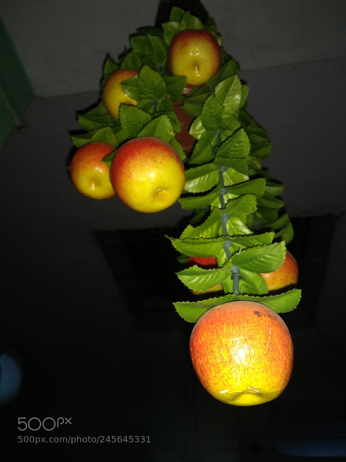 Motorola Moto G (5S) Plus sample photo. Untitled photography