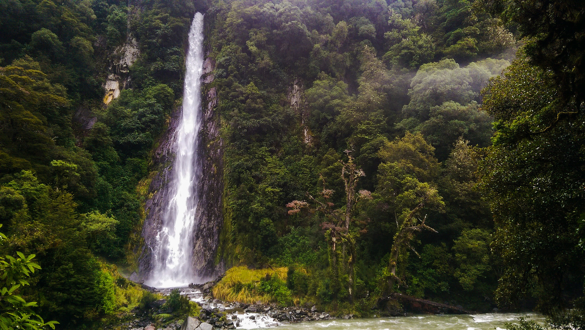 HTC ONE M8 sample photo. Just new zealand photography