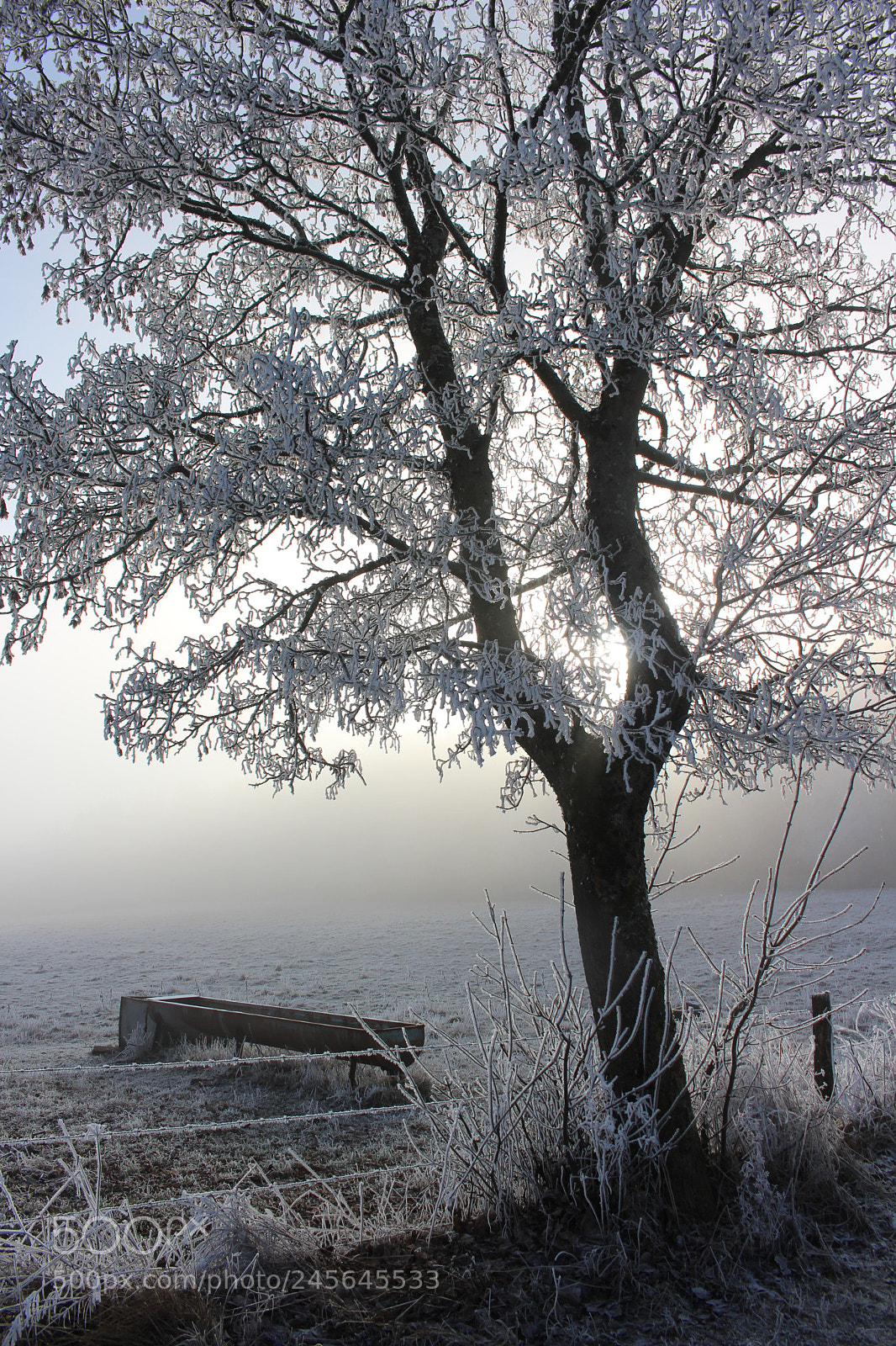 Canon EOS 700D (EOS Rebel T5i / EOS Kiss X7i) sample photo. Melancholie photography