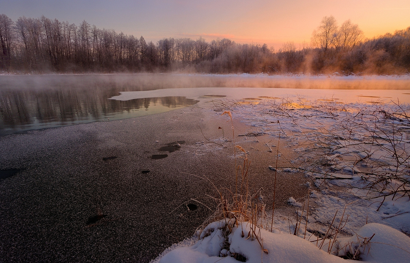 Nikon D800 sample photo. Nd8_8140 1.jpg photography