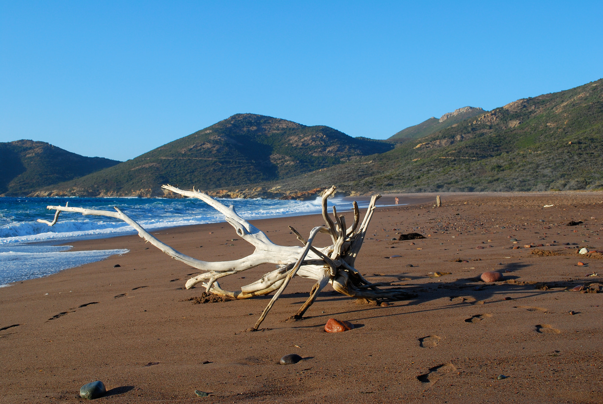 Nikon D80 sample photo. Beach black corsica o photography
