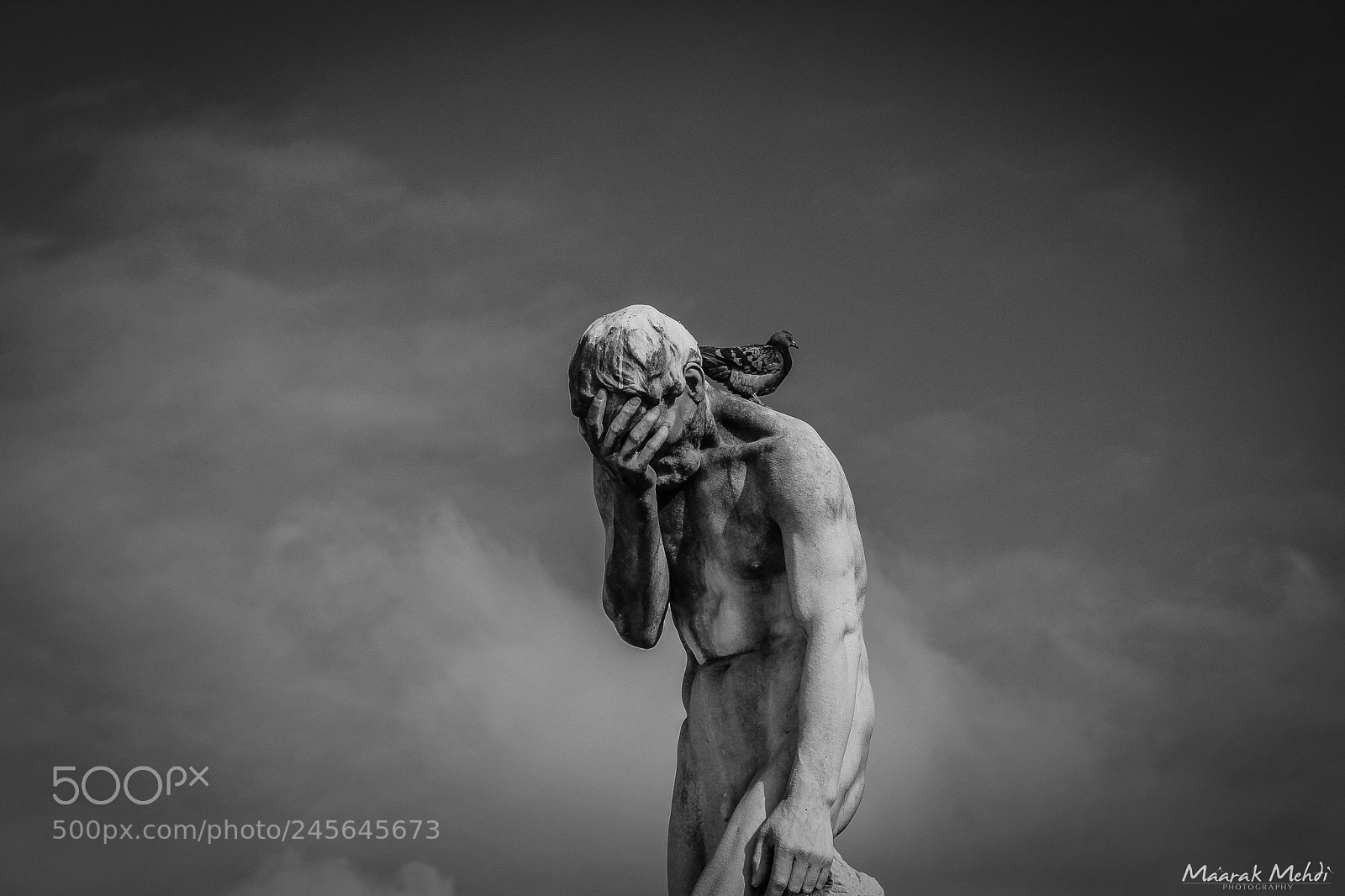 Canon EOS 600D (Rebel EOS T3i / EOS Kiss X5) sample photo. Statue of cain photography